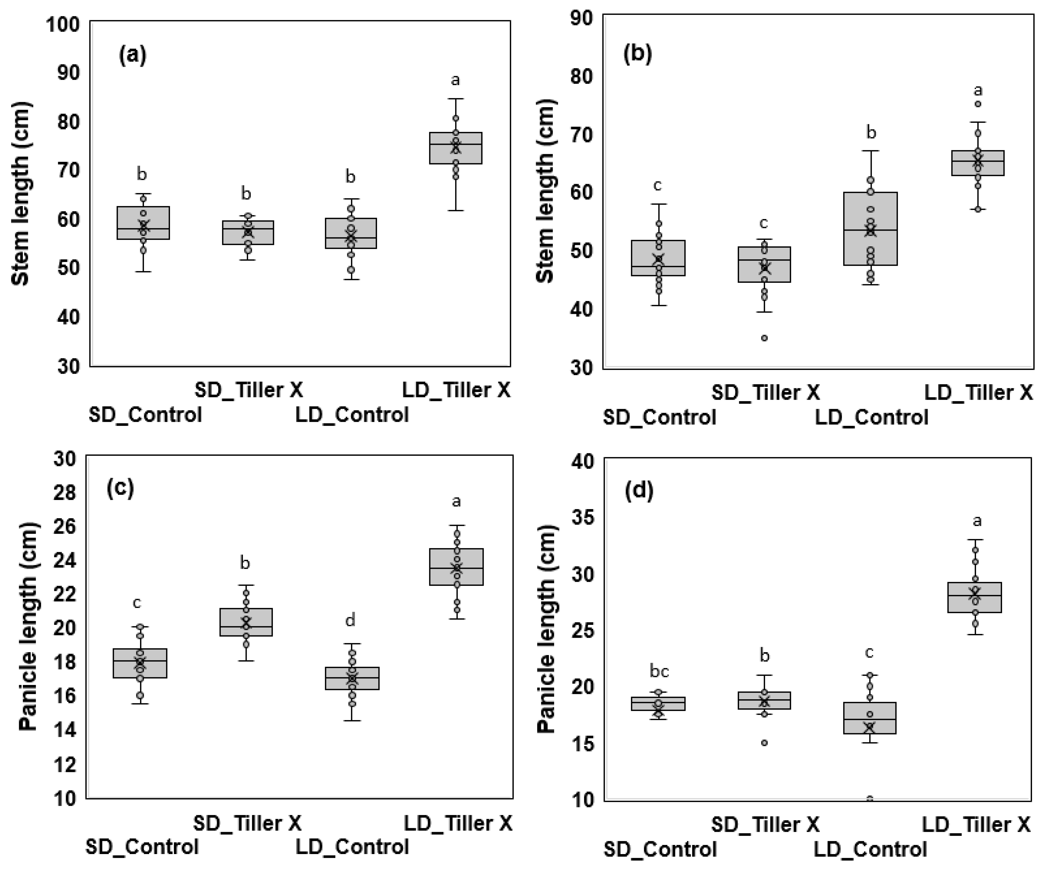 Preprints 140886 g002