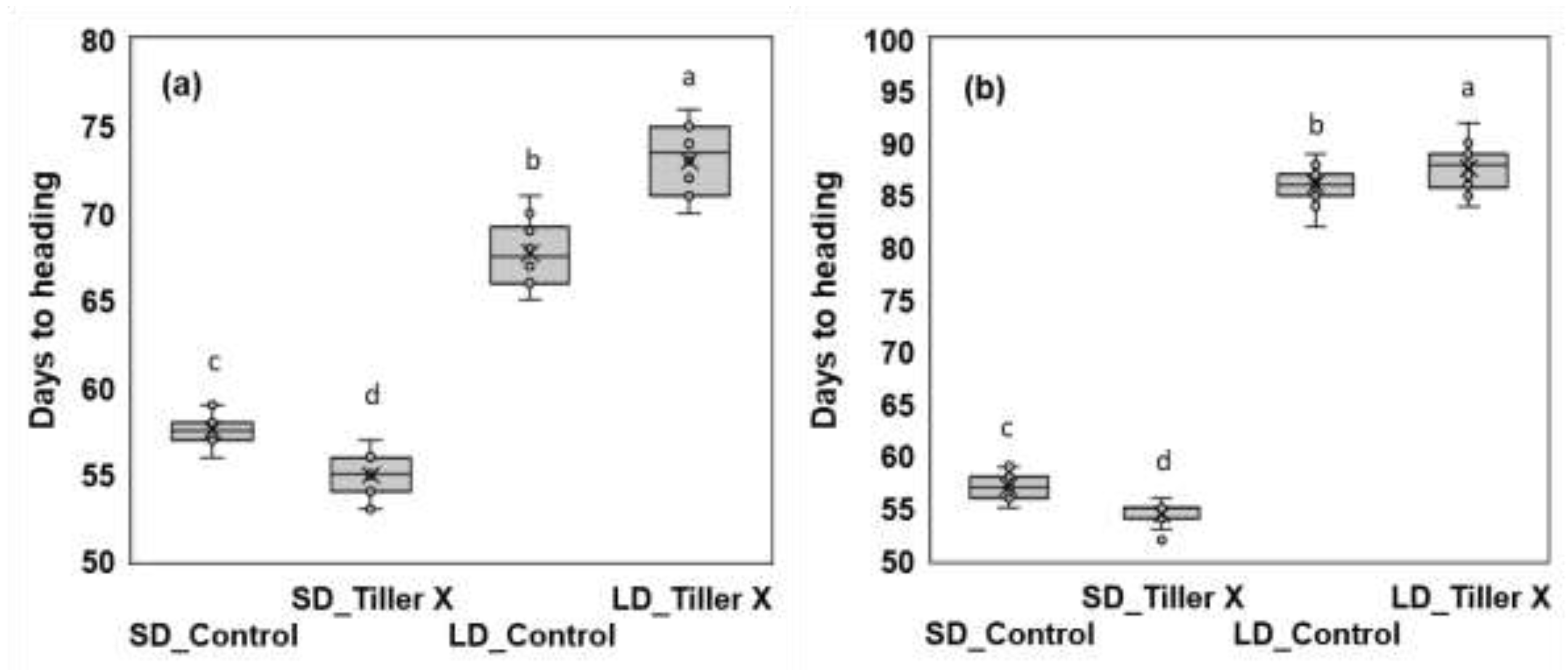 Preprints 140886 g003