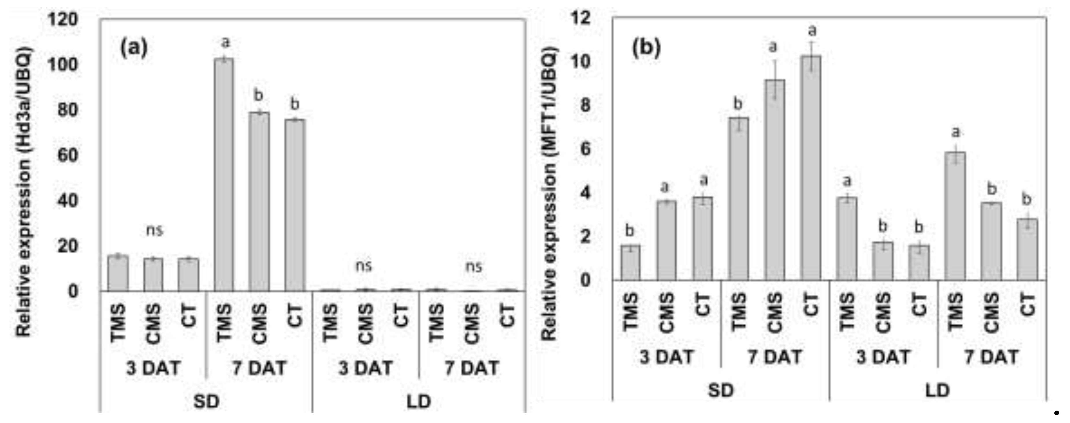Preprints 140886 g004