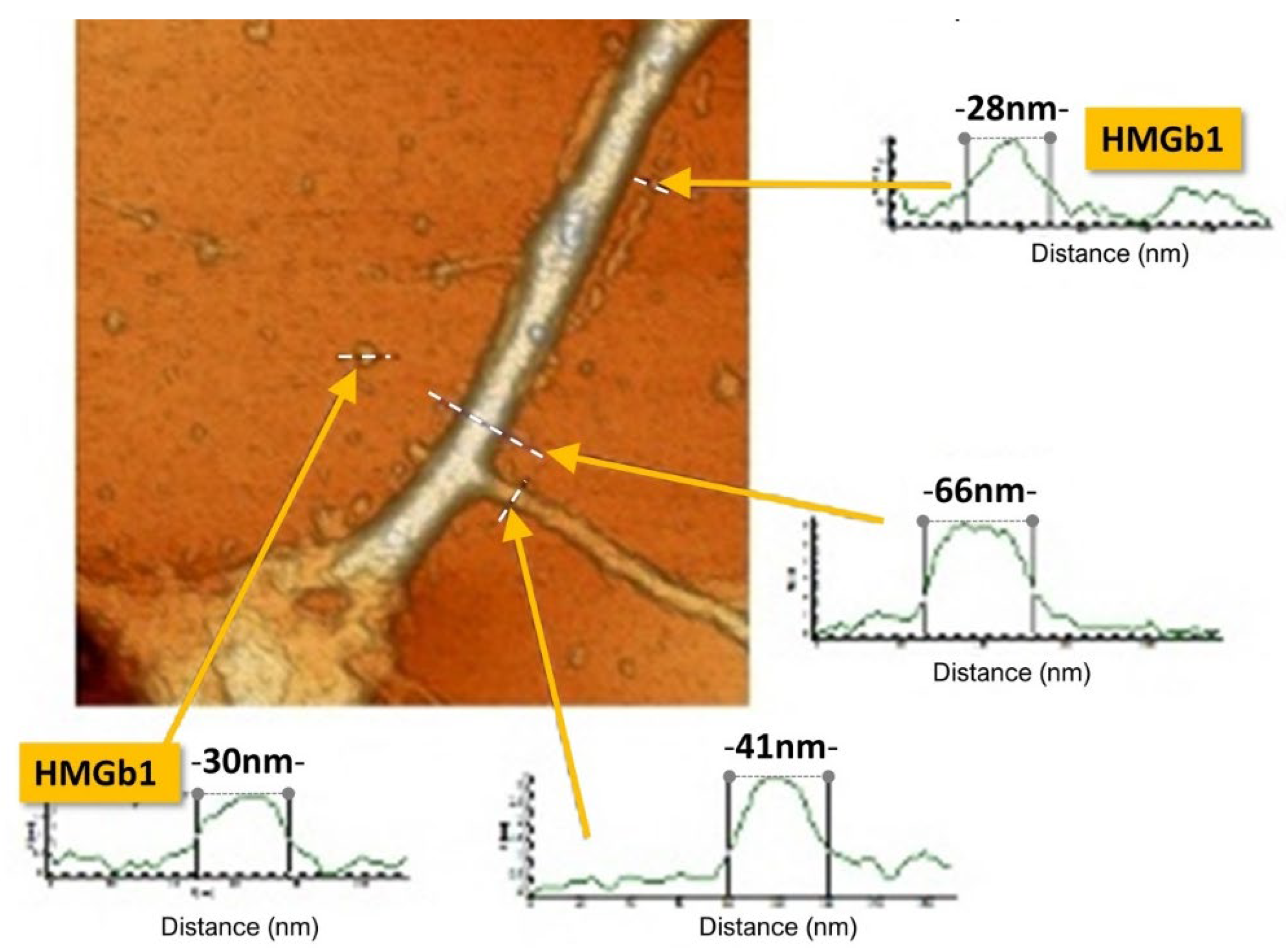 Preprints 162467 g003