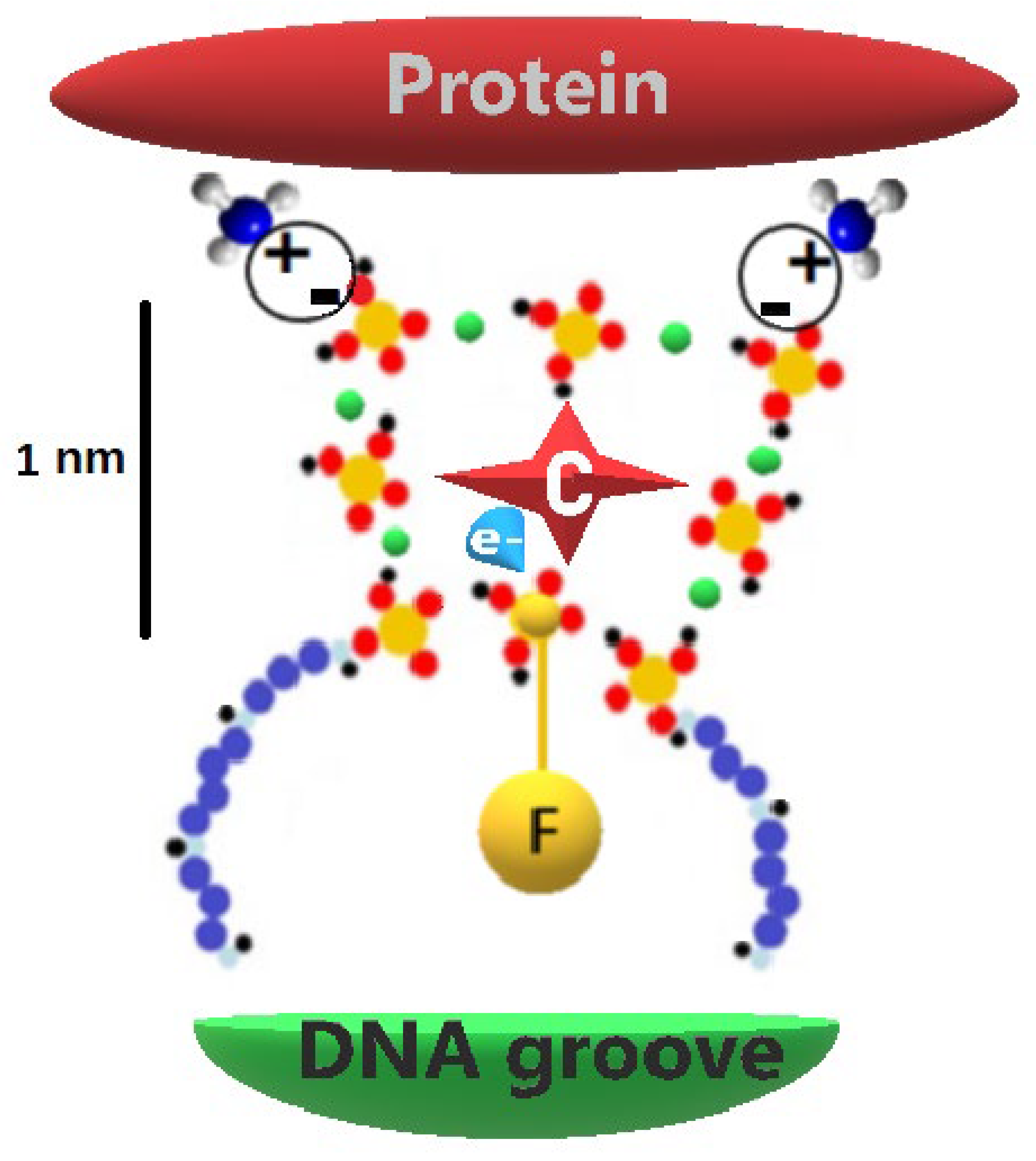Preprints 162467 g004