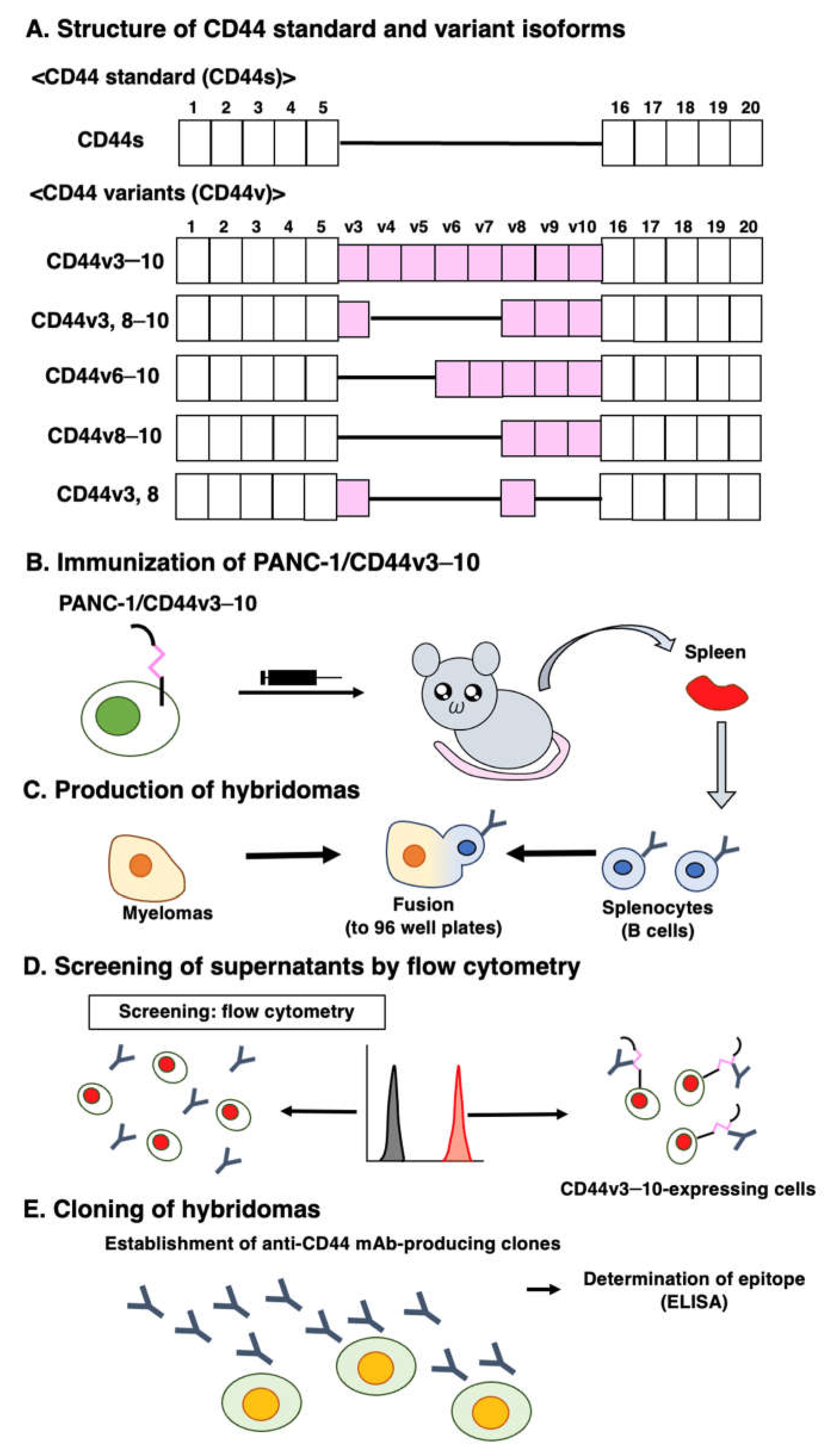 Preprints 73137 g001