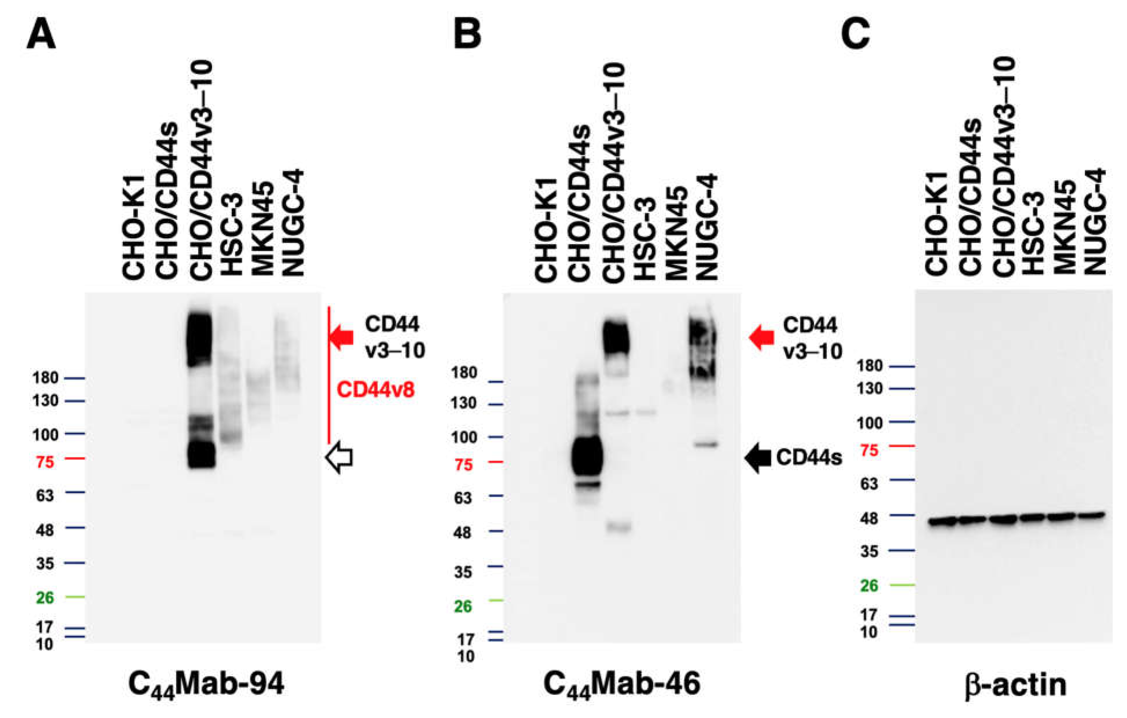 Preprints 73137 g005