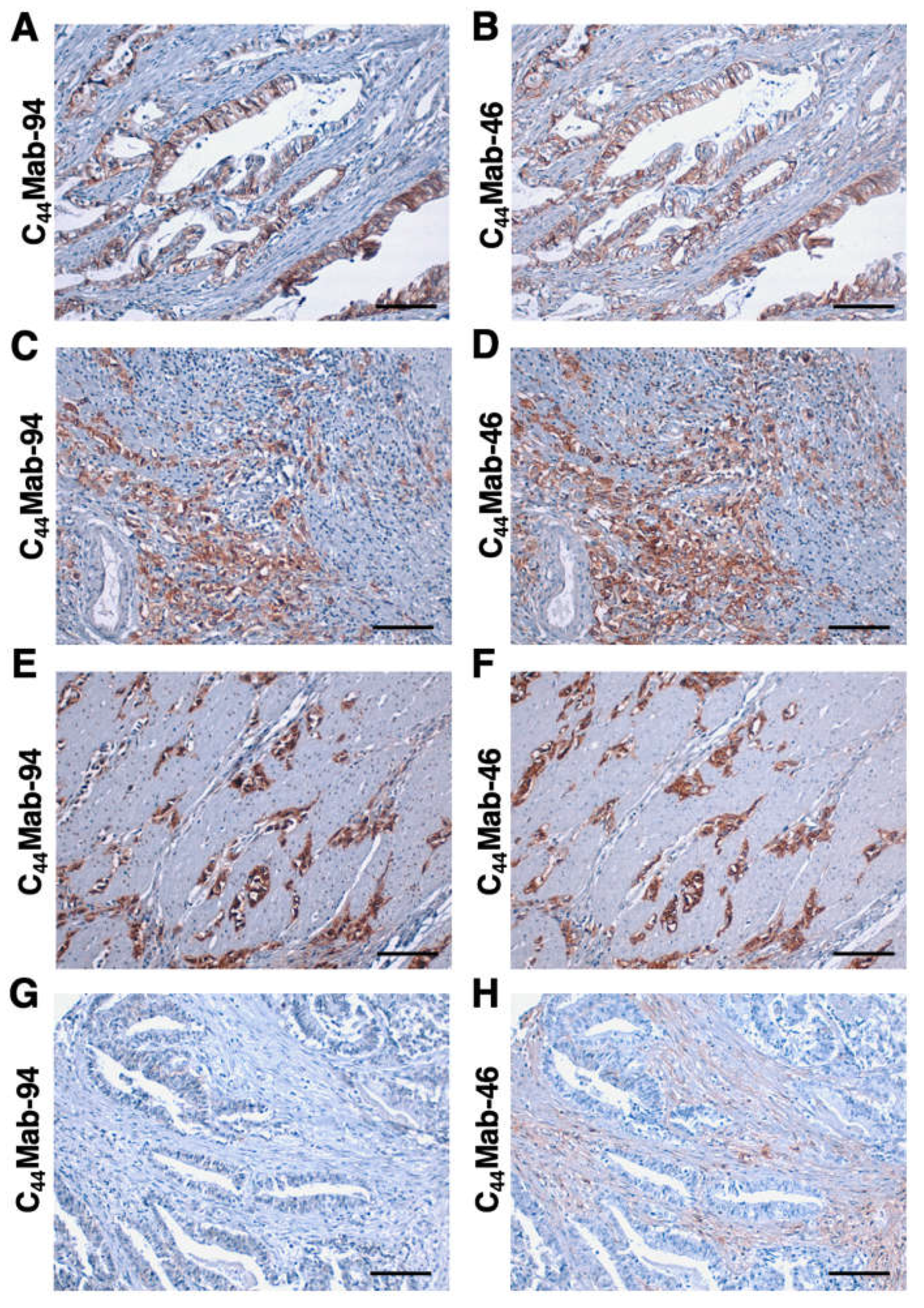 Preprints 73137 g006