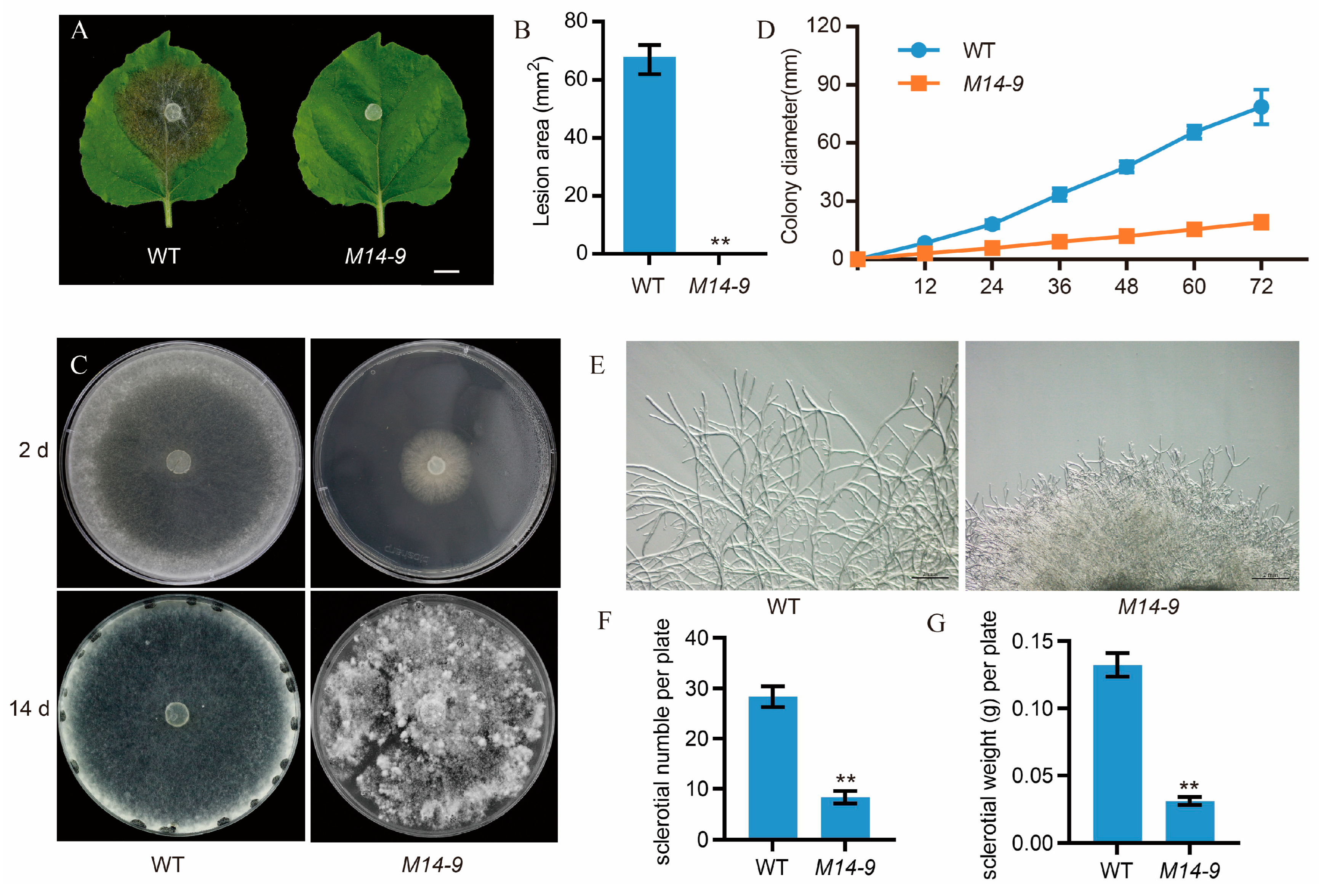 Preprints 80625 g001
