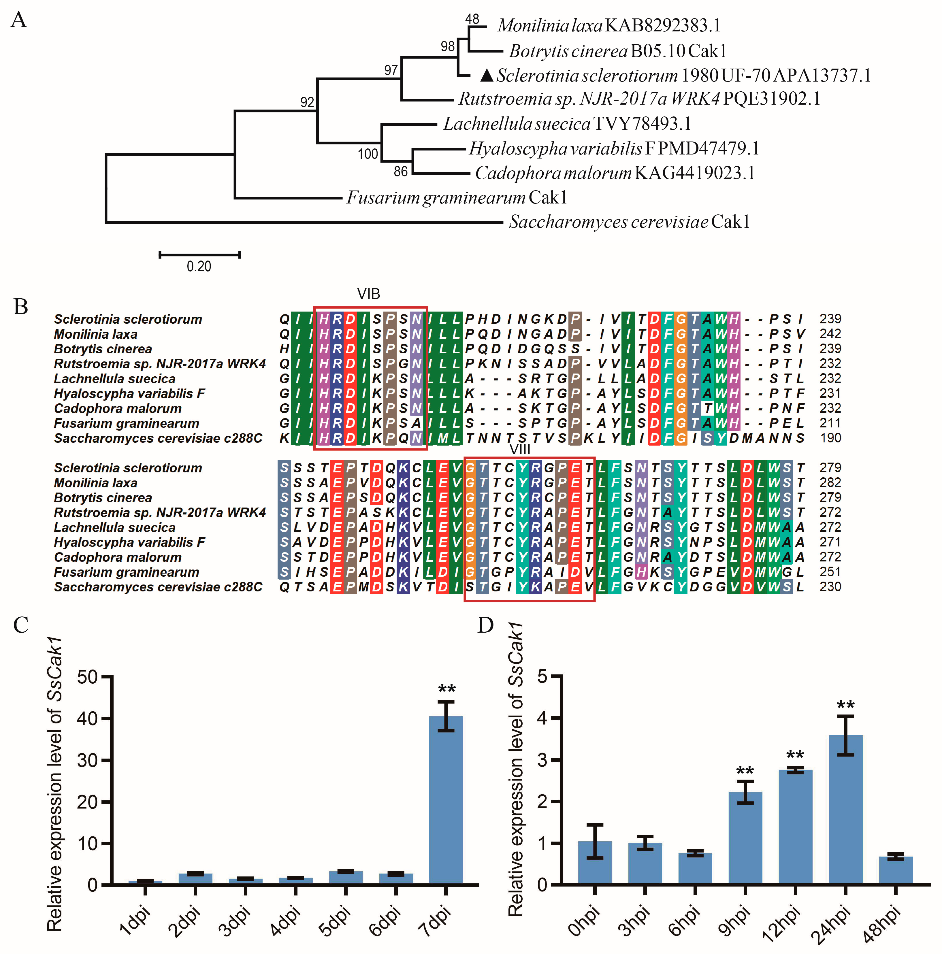 Preprints 80625 g002