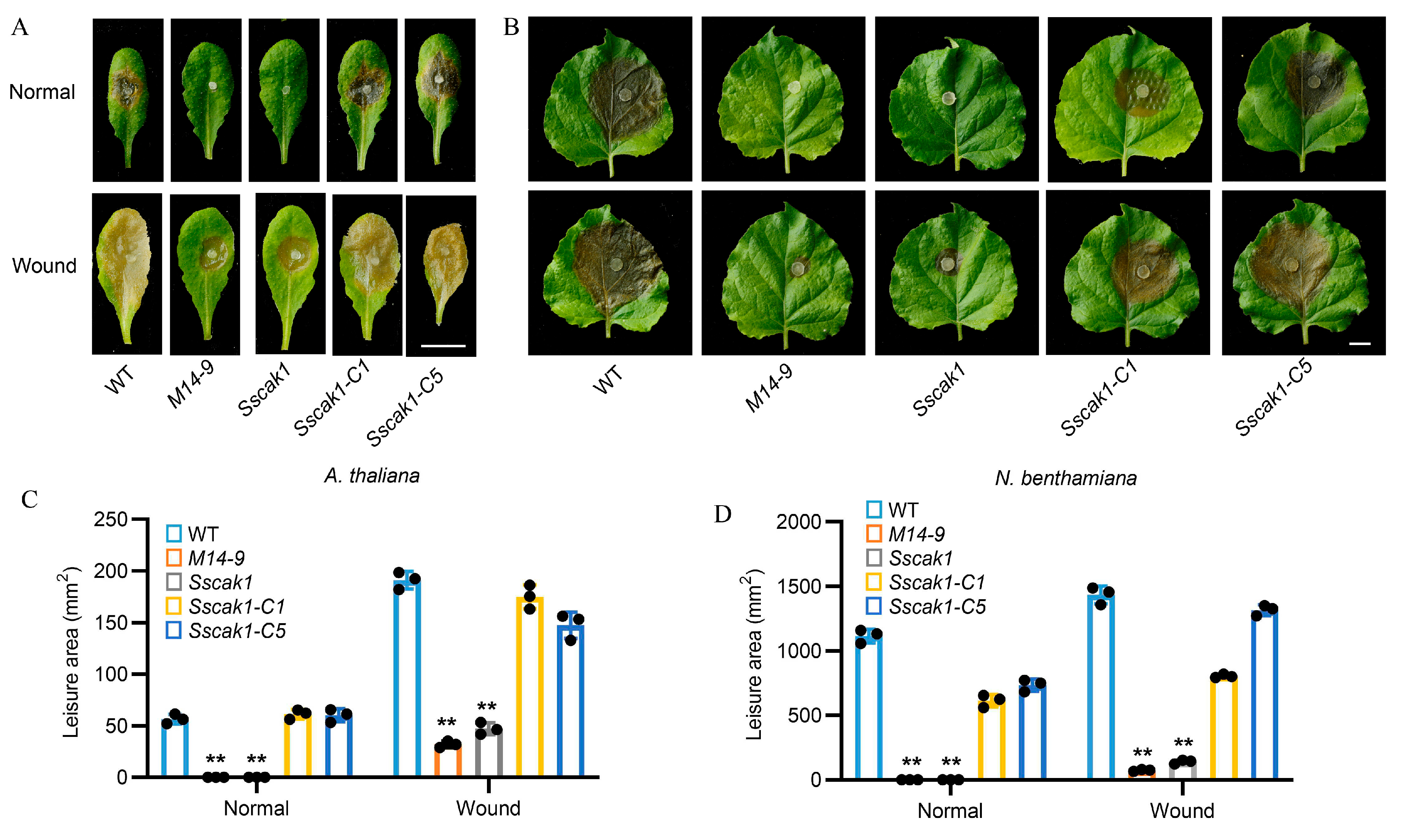 Preprints 80625 g004