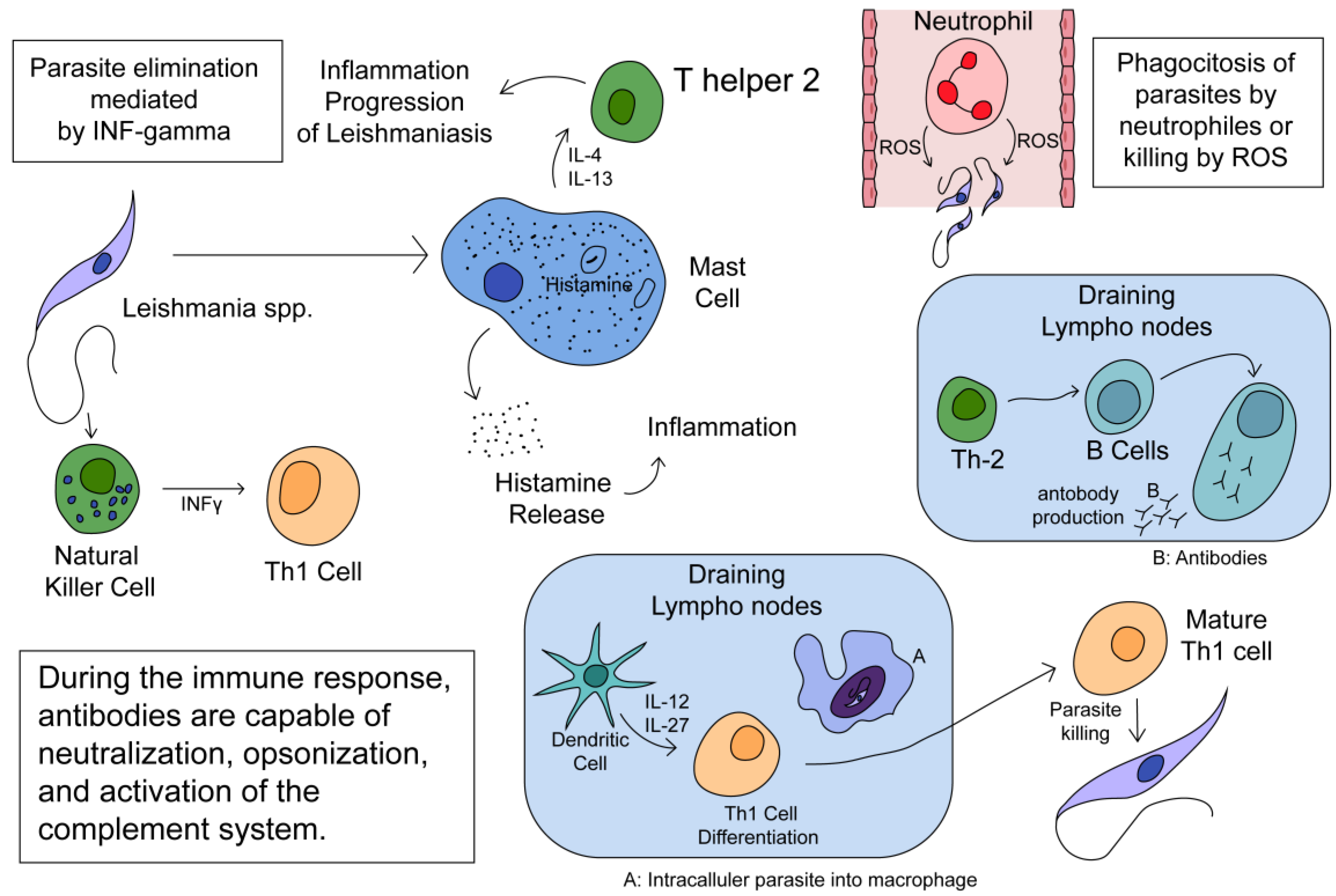 Preprints 110486 g001
