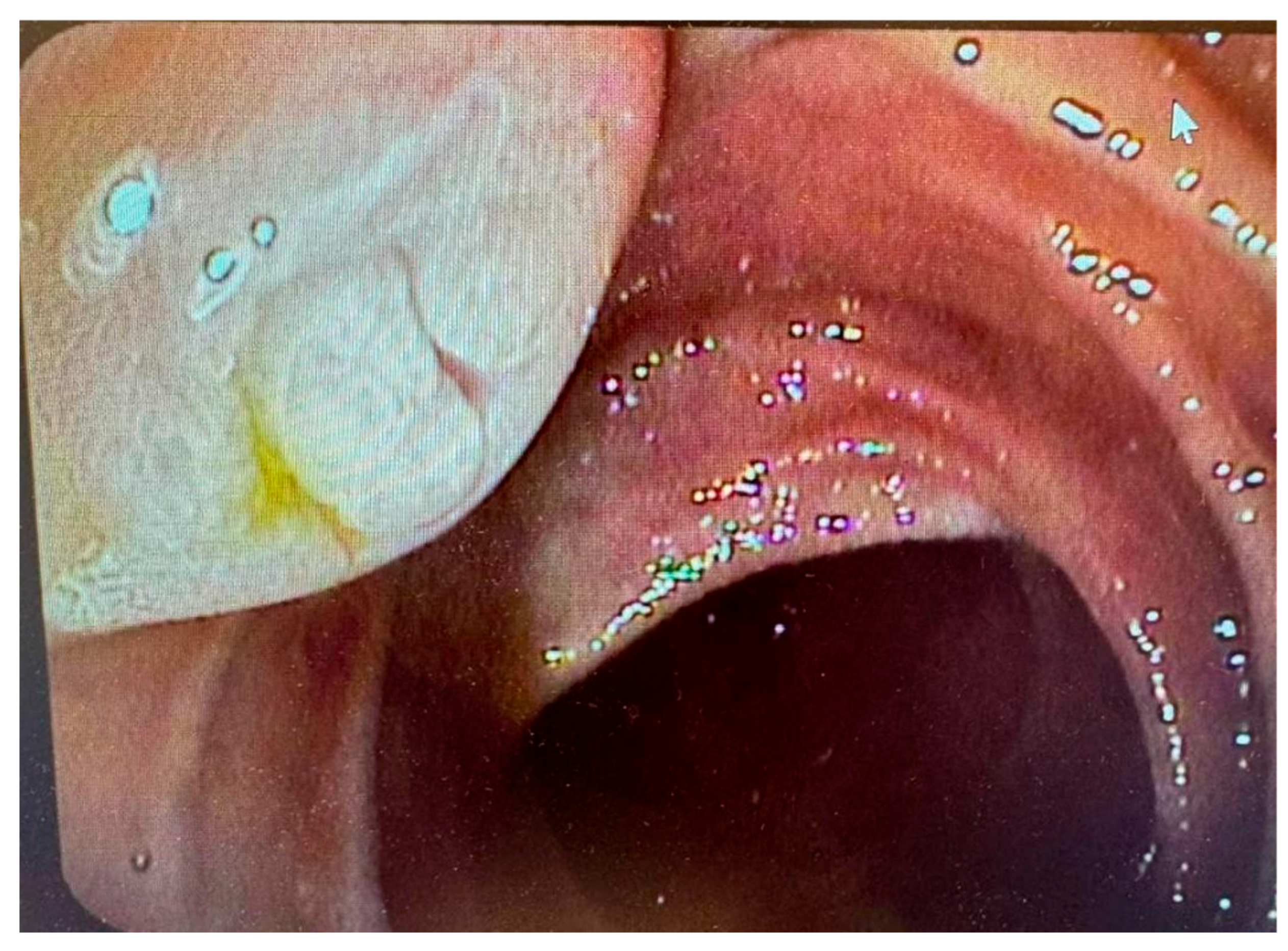 Preprints 178611 g001