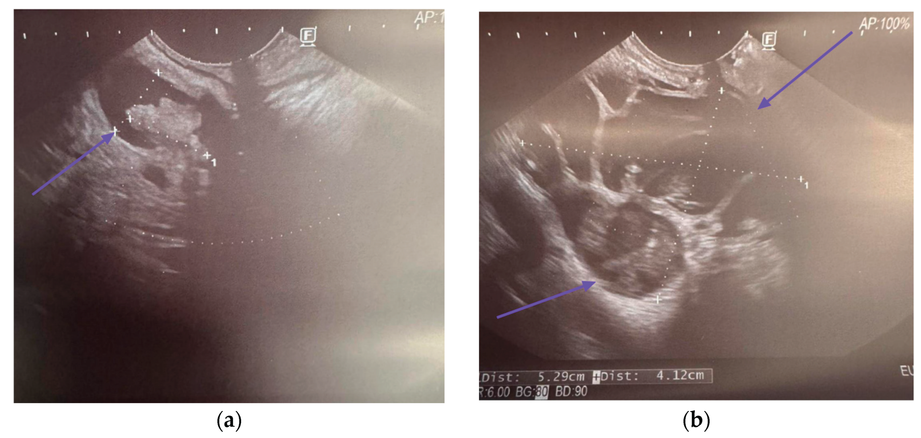 Preprints 178611 g002