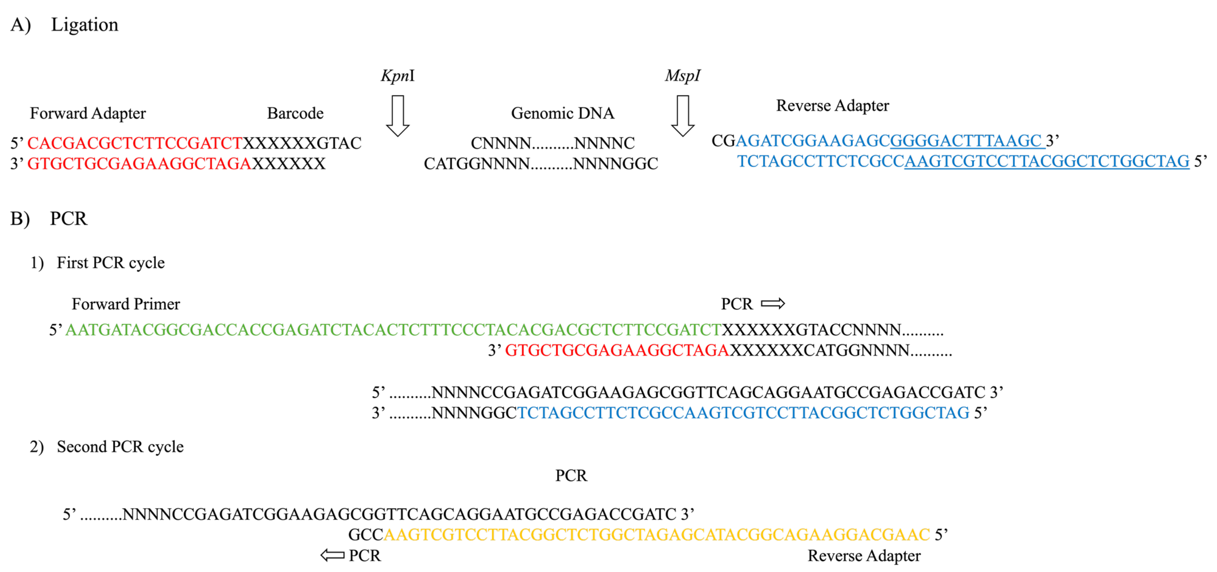 Preprints 222349 g001