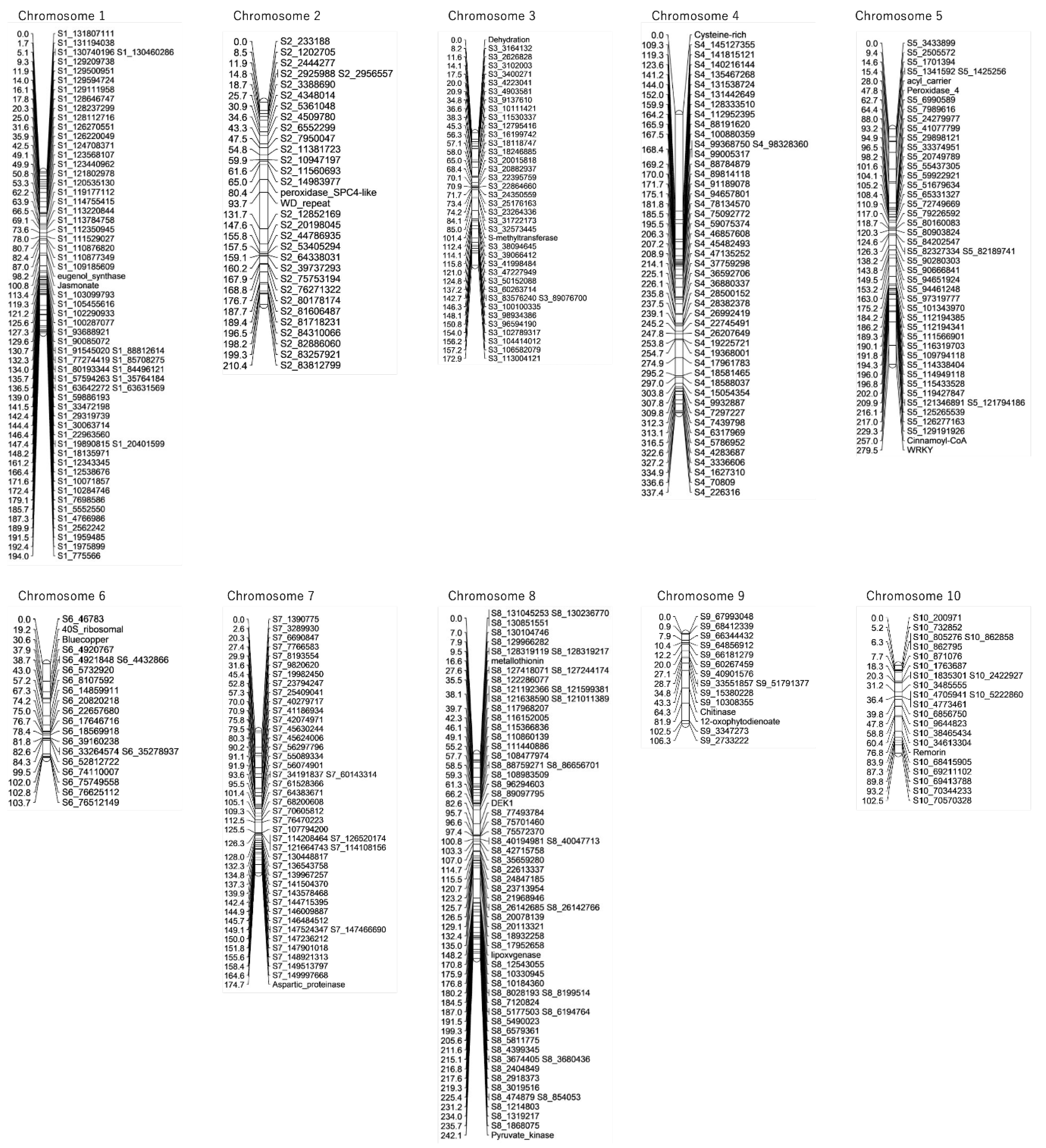 Preprints 222349 g004