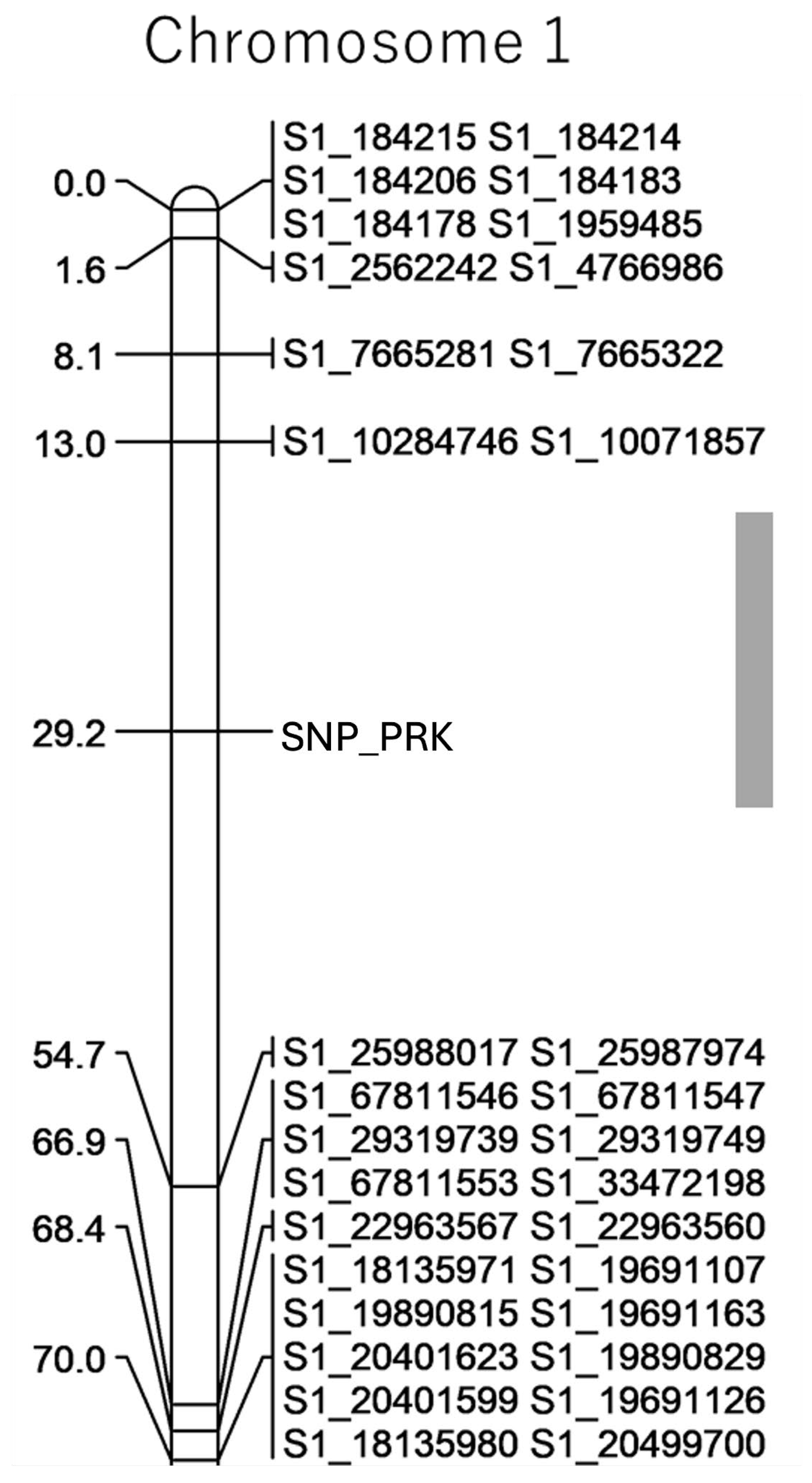 Preprints 222349 g005