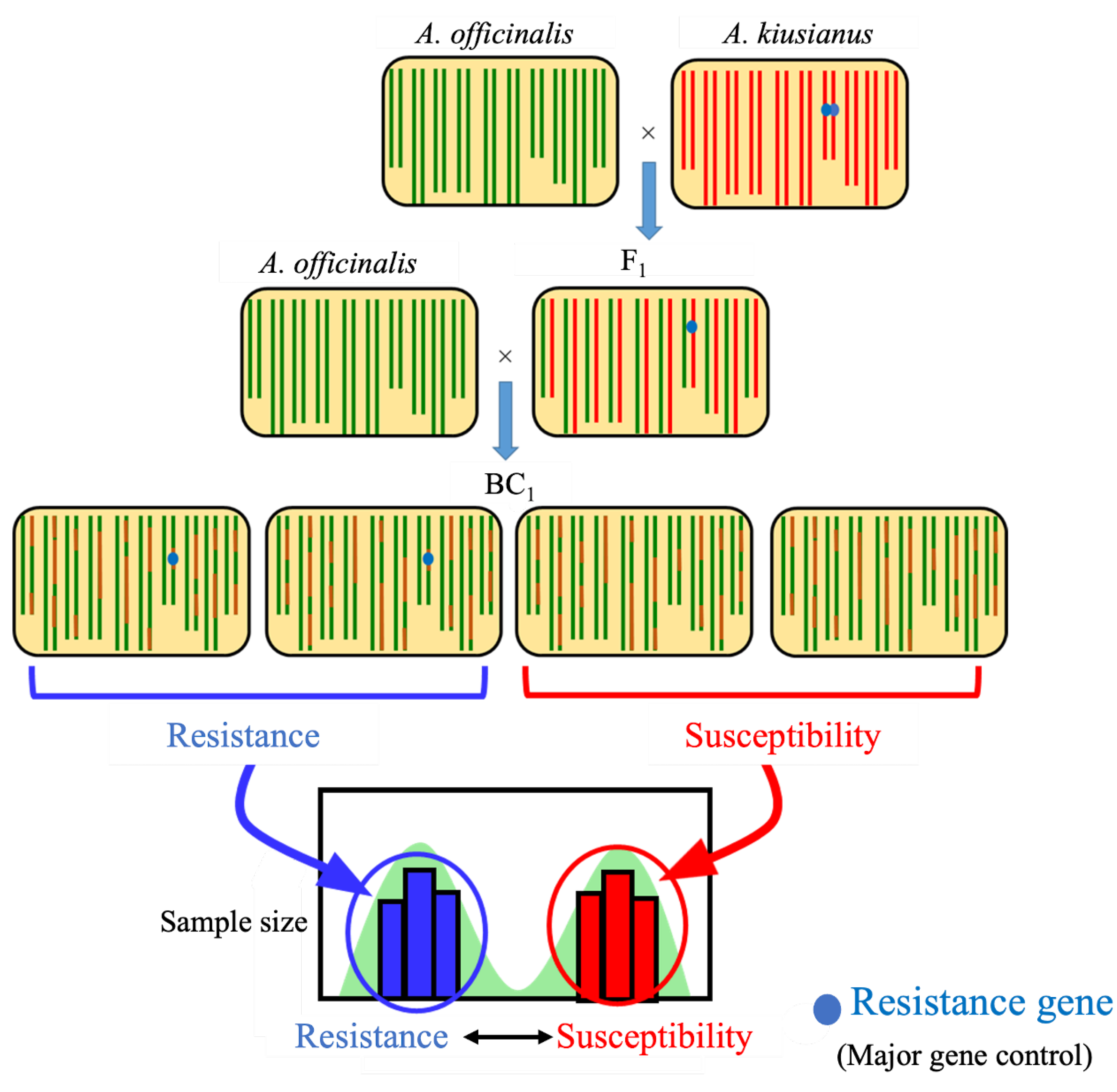 Preprints 222349 g007