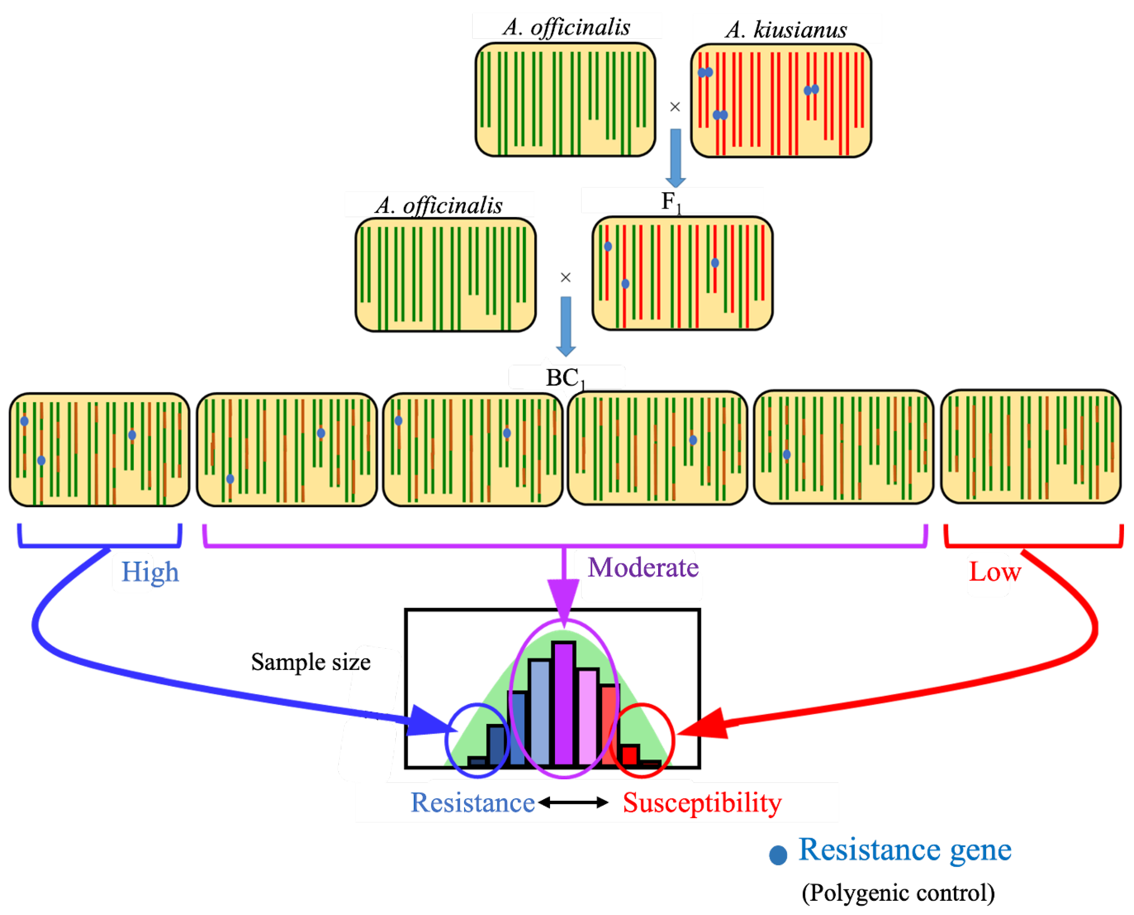 Preprints 222349 g008