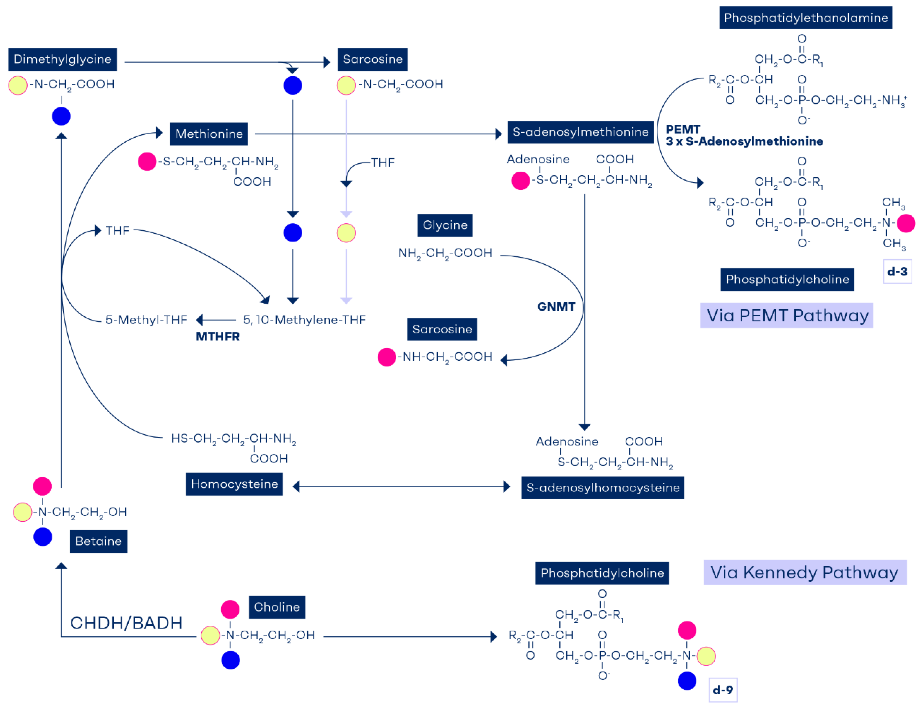 Preprints 170007 g002