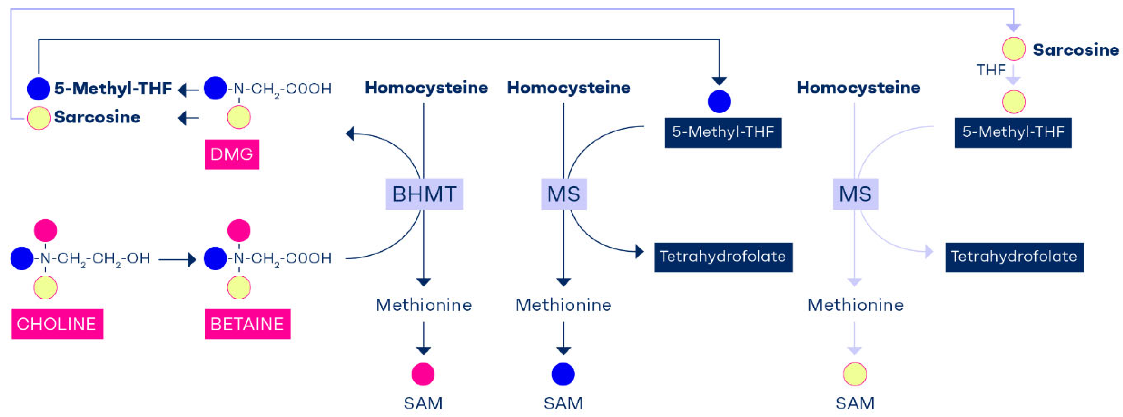 Preprints 170007 g003