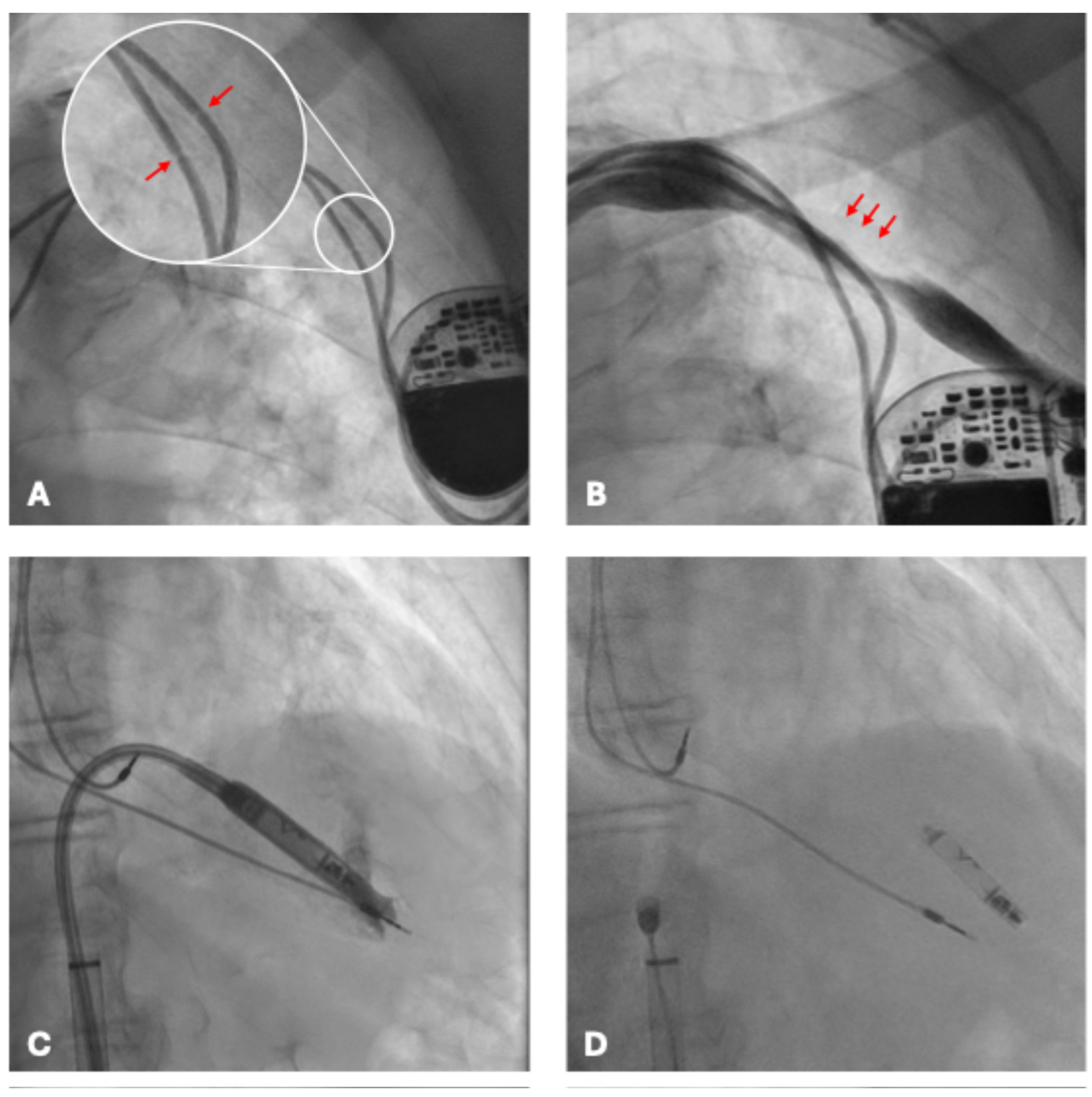 Preprints 176016 g002