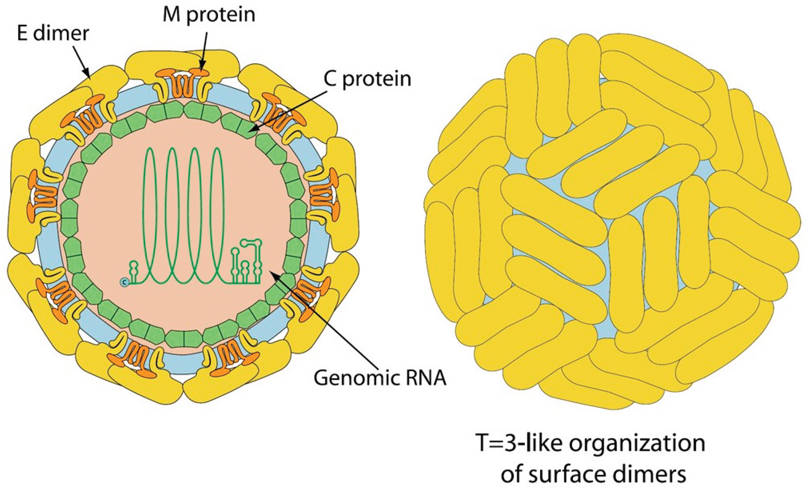 Preprints 193914 g001