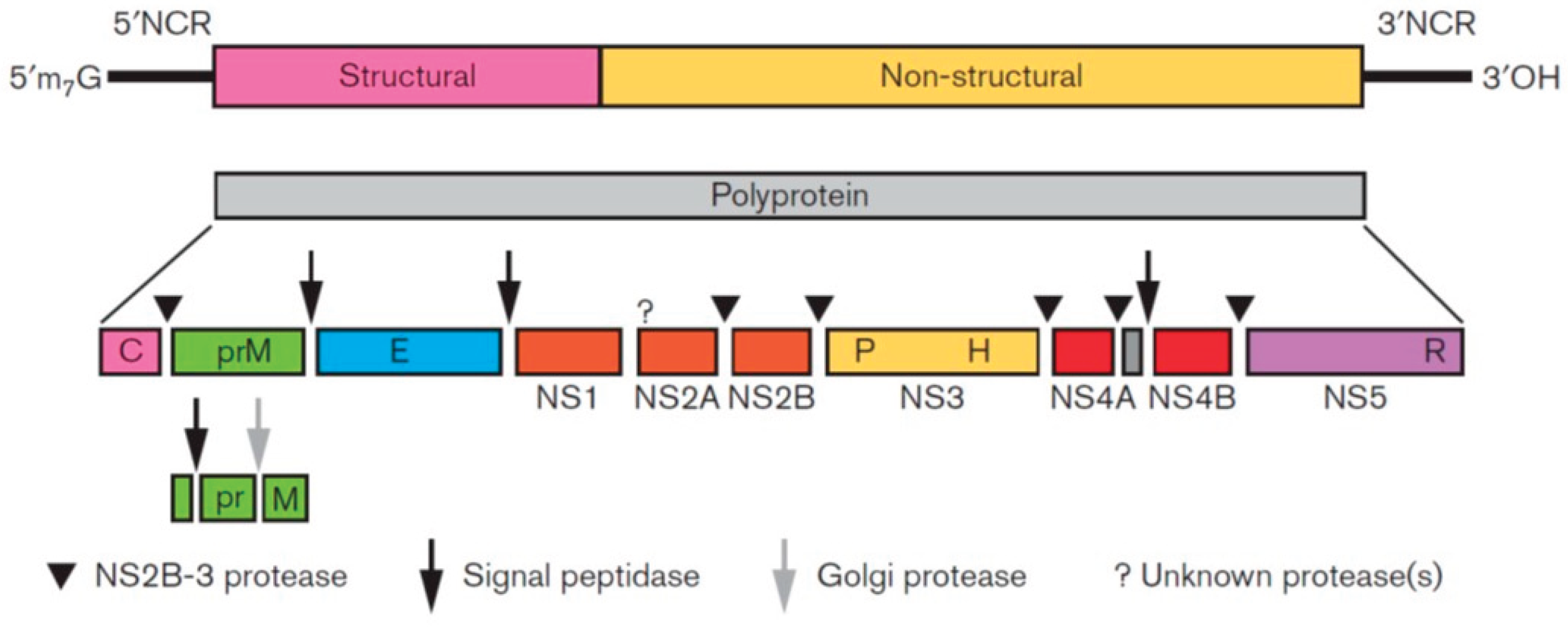 Preprints 193914 g002