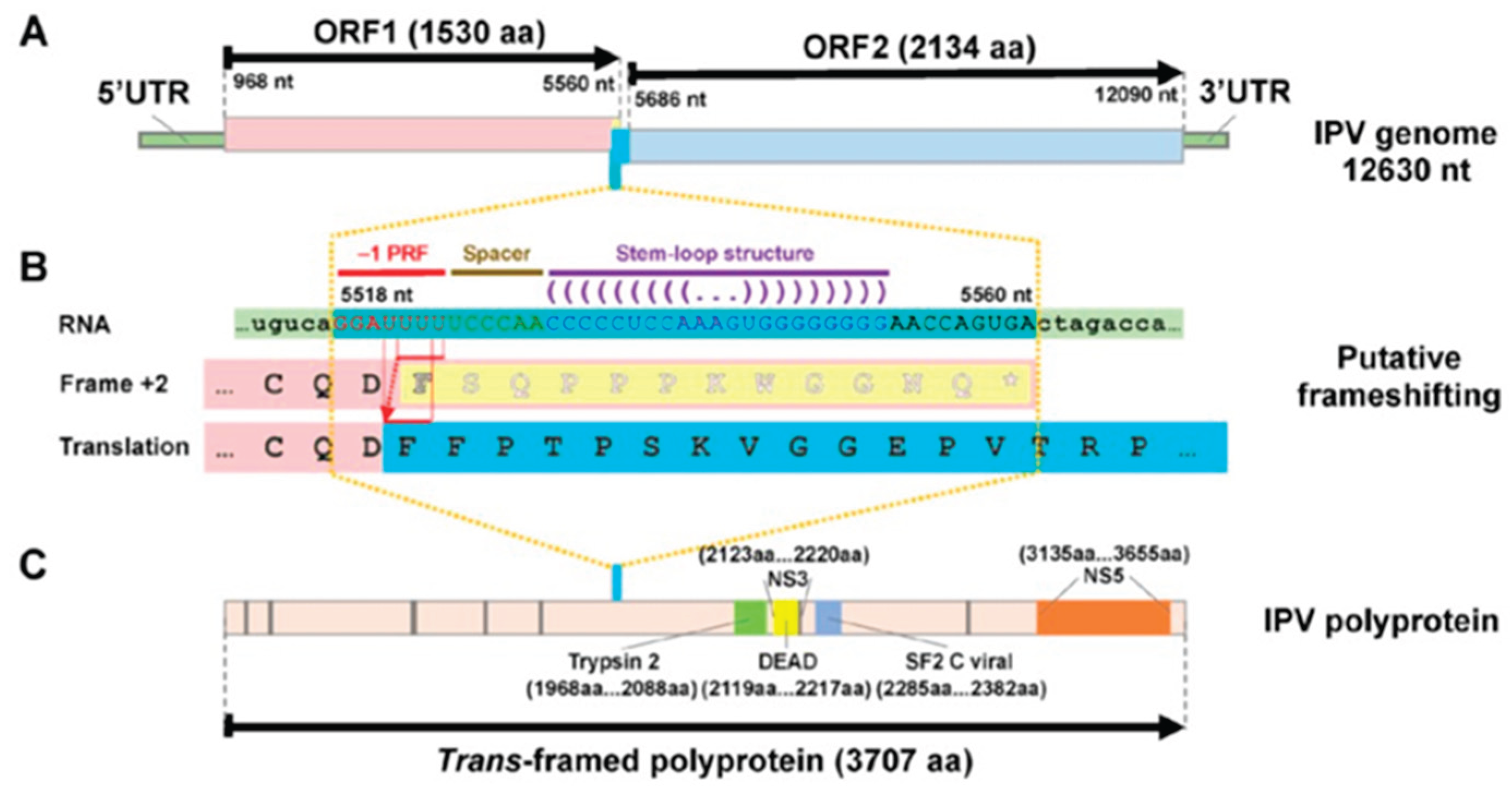 Preprints 193914 g003