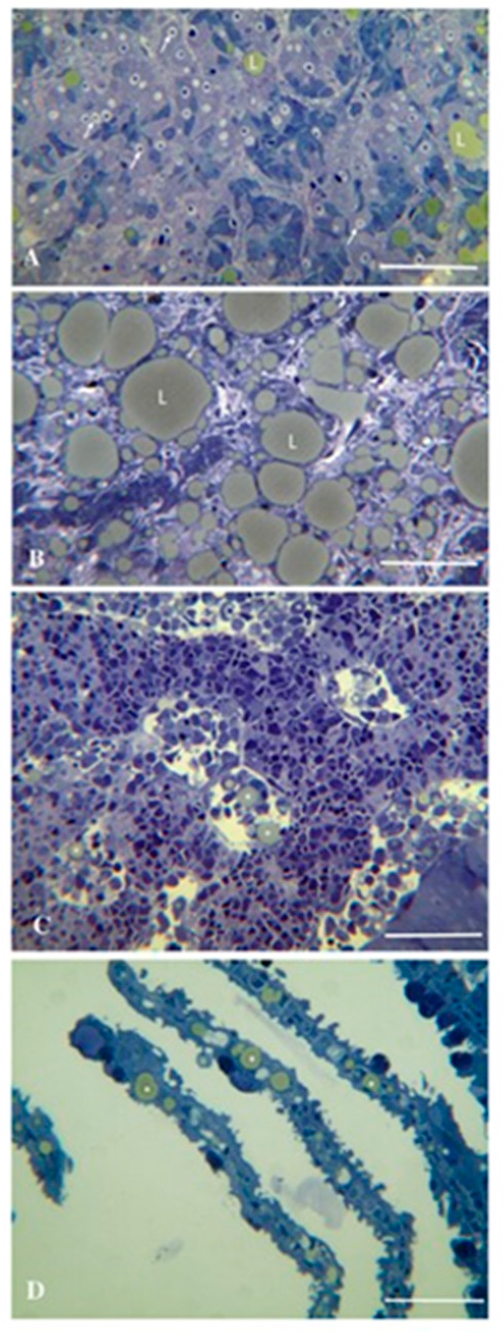 Preprints 193914 g007