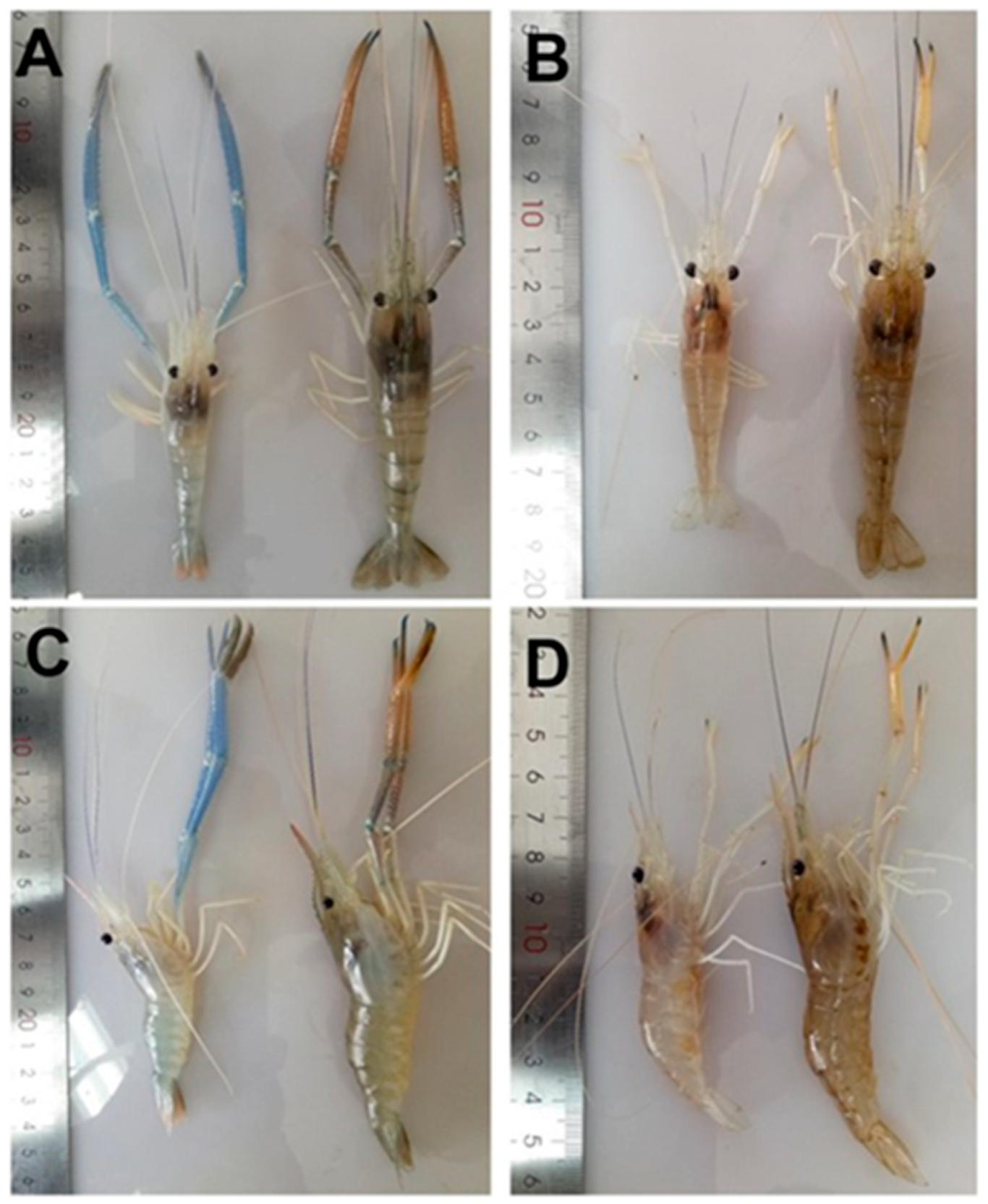Preprints 193914 g008