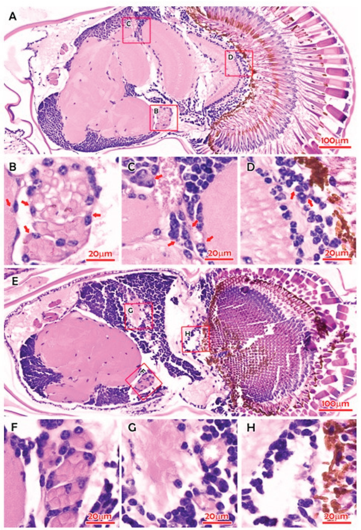Preprints 193914 g009
