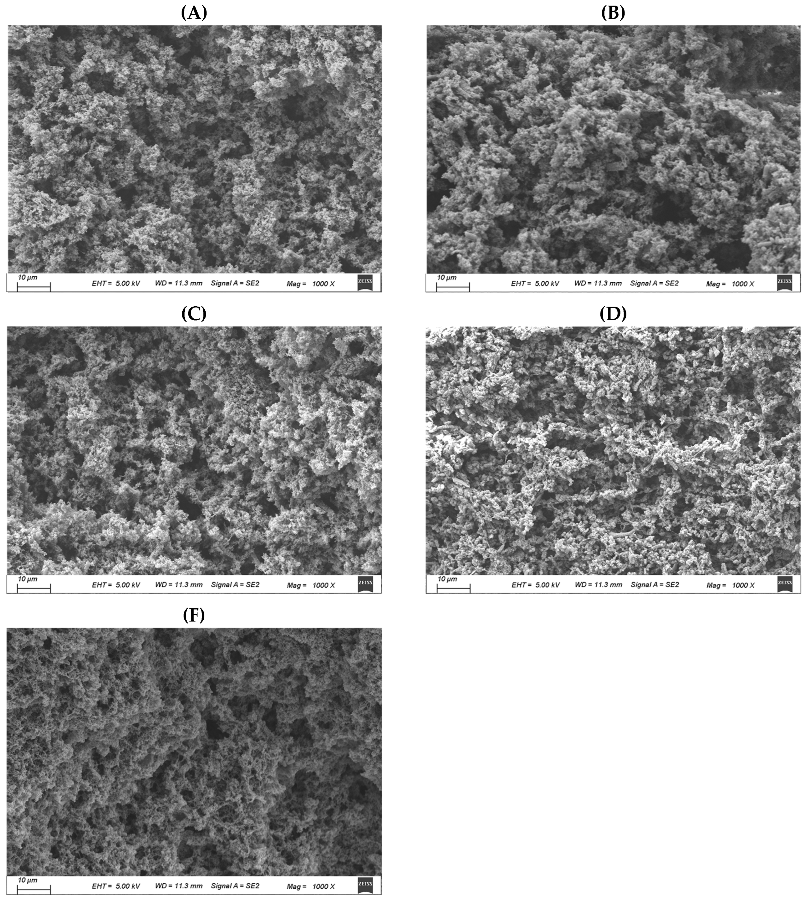 Improving the Quality of Low-Salt Beef Myofibrillar Protein Gels