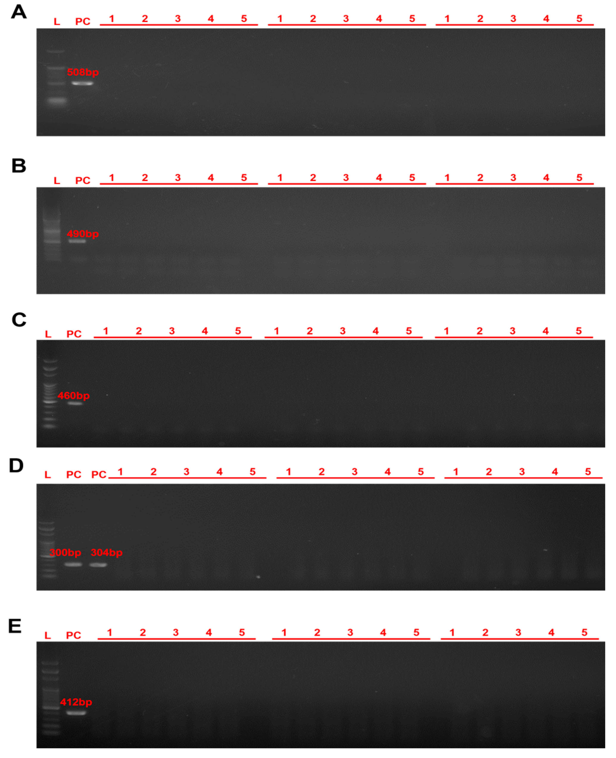 Preprints 210134 g003