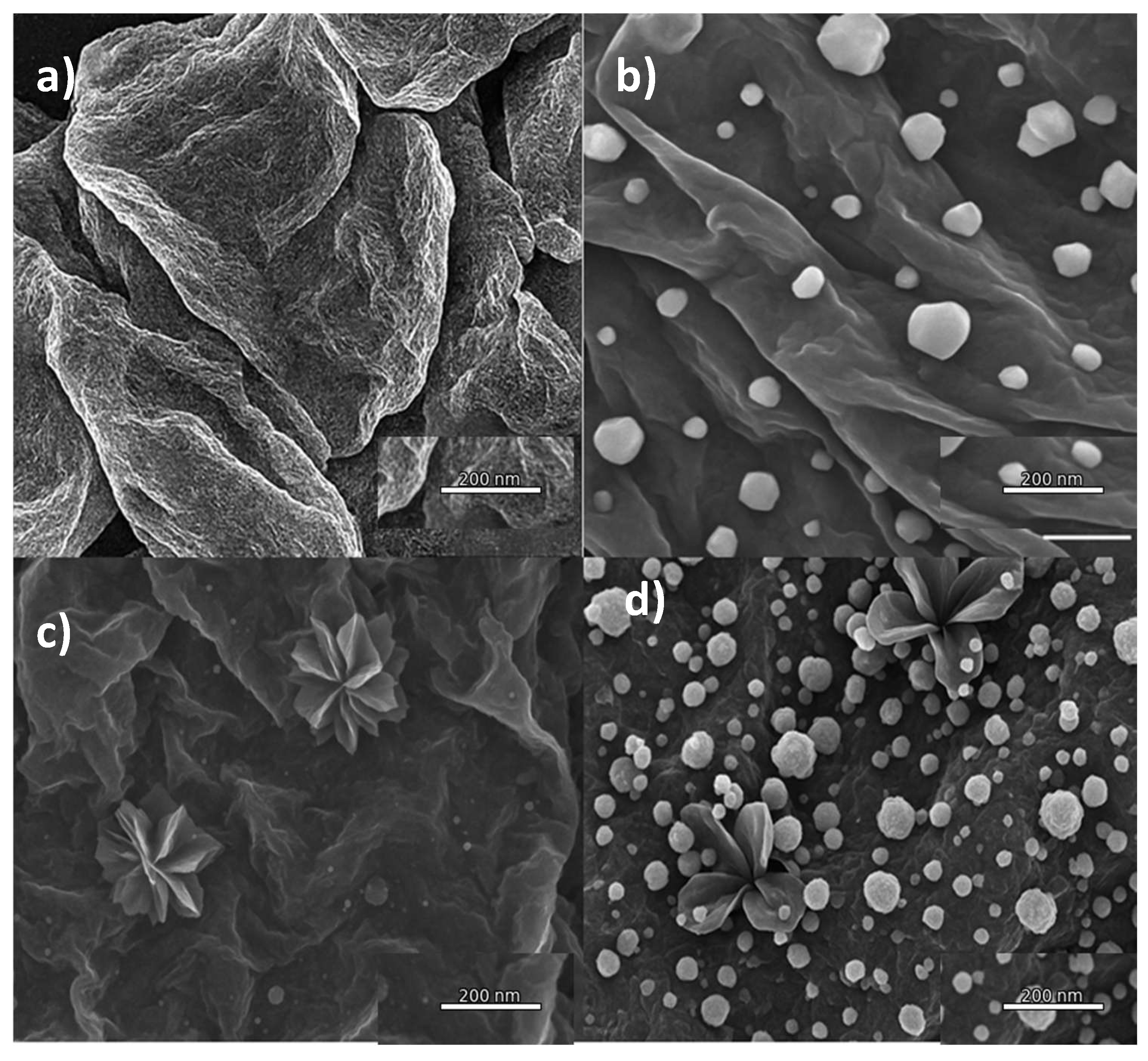 Preprints 196137 g003