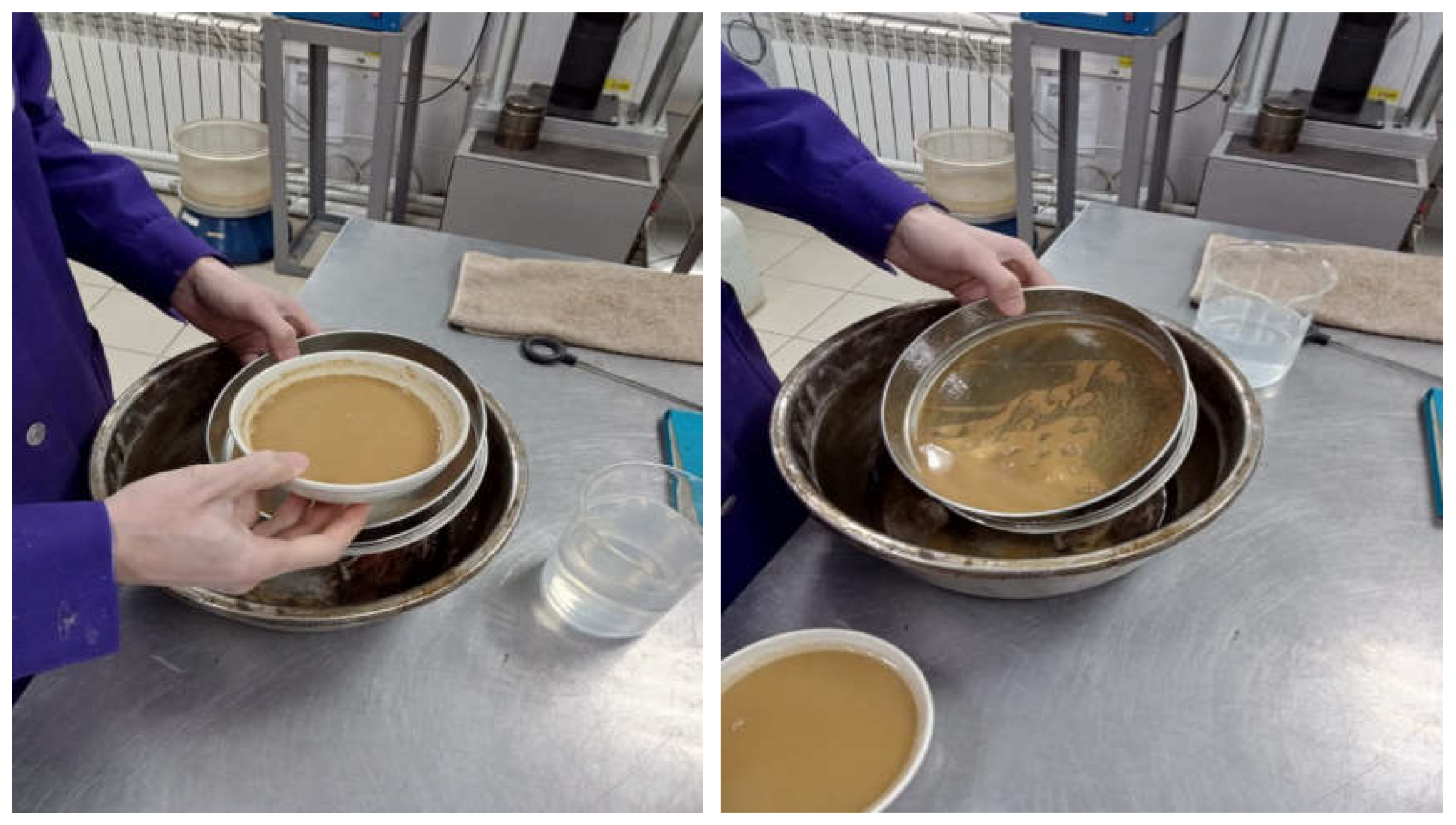 Preprints 183782 g004