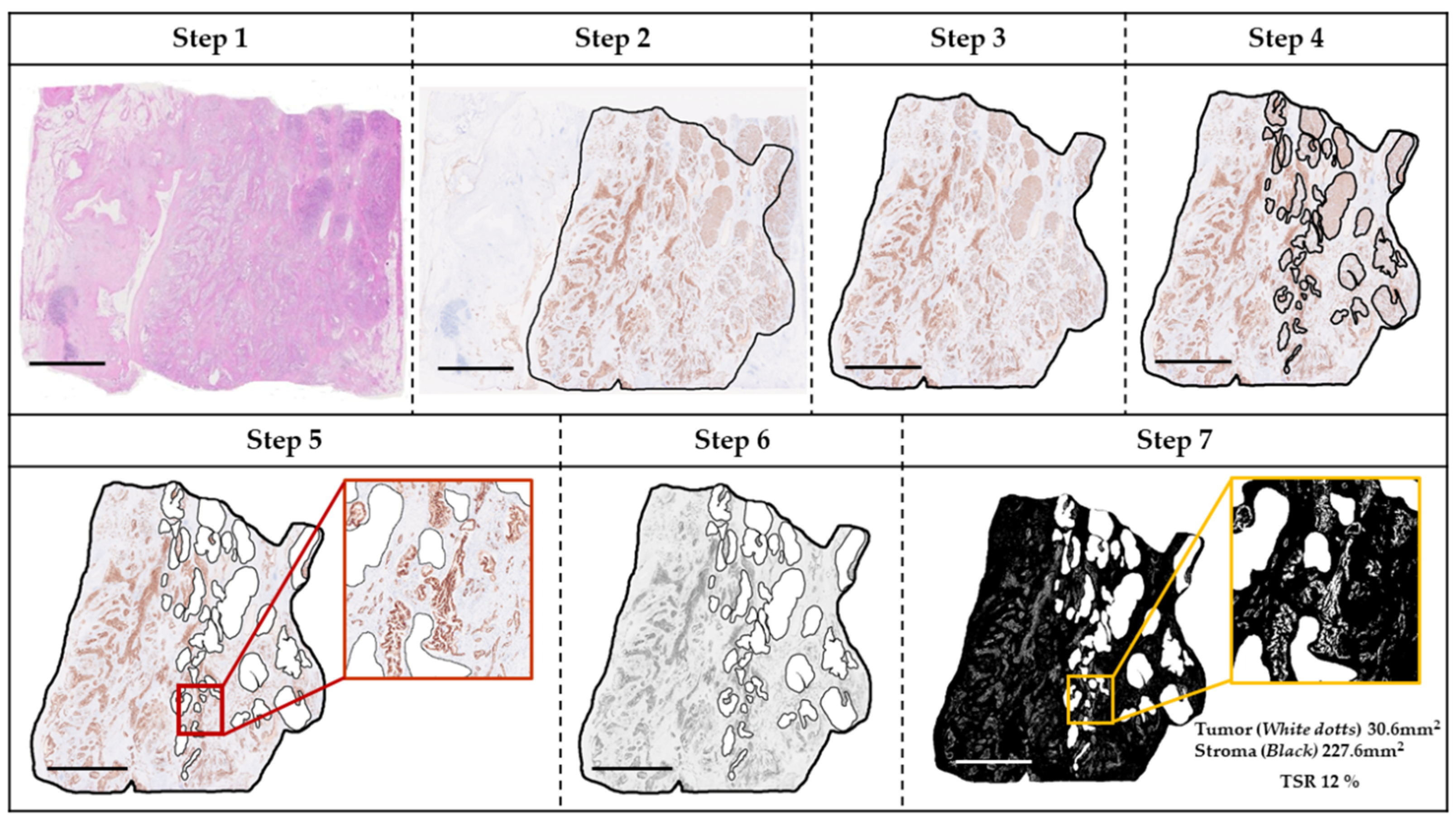 Preprints 176133 g001