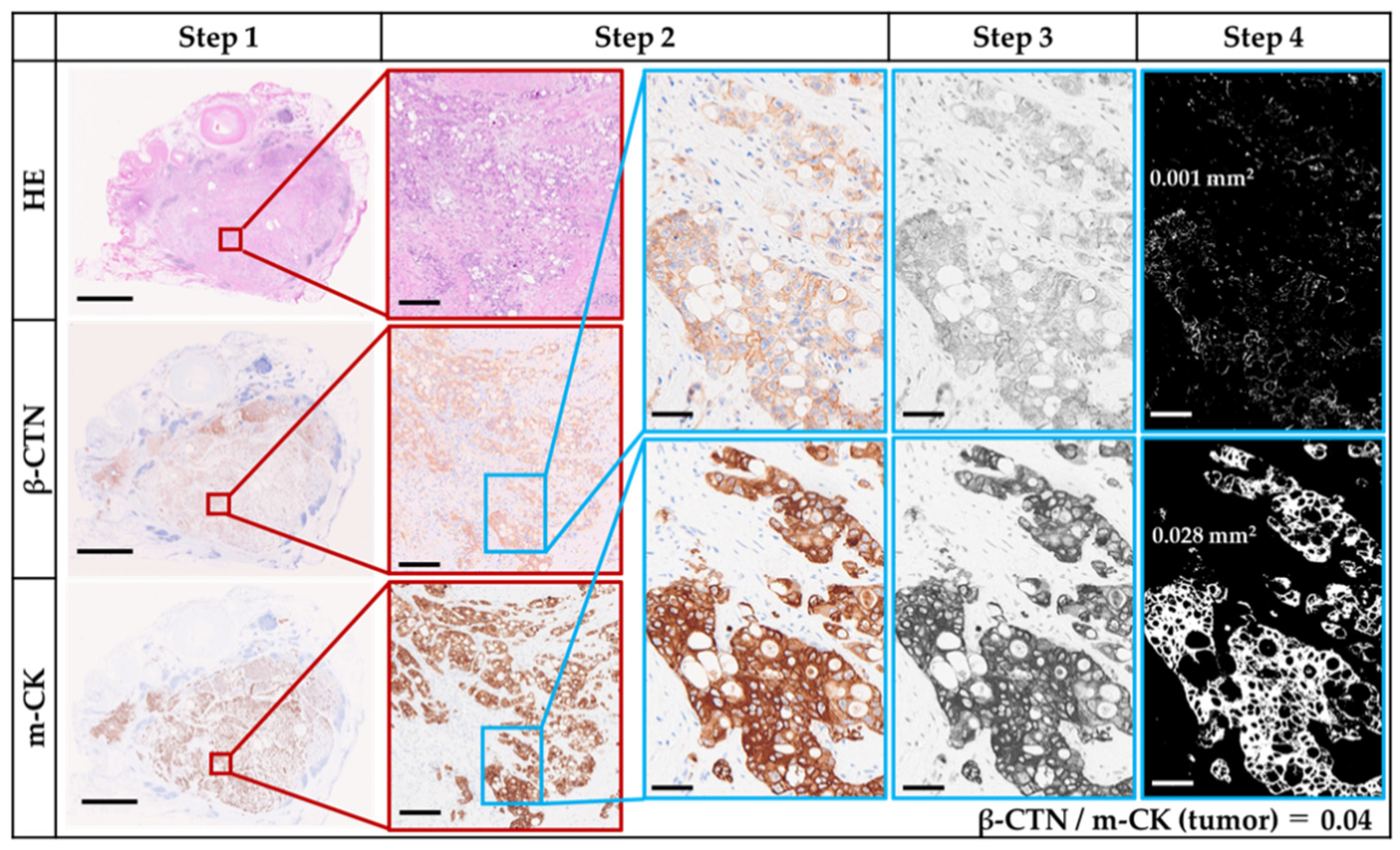 Preprints 176133 g002