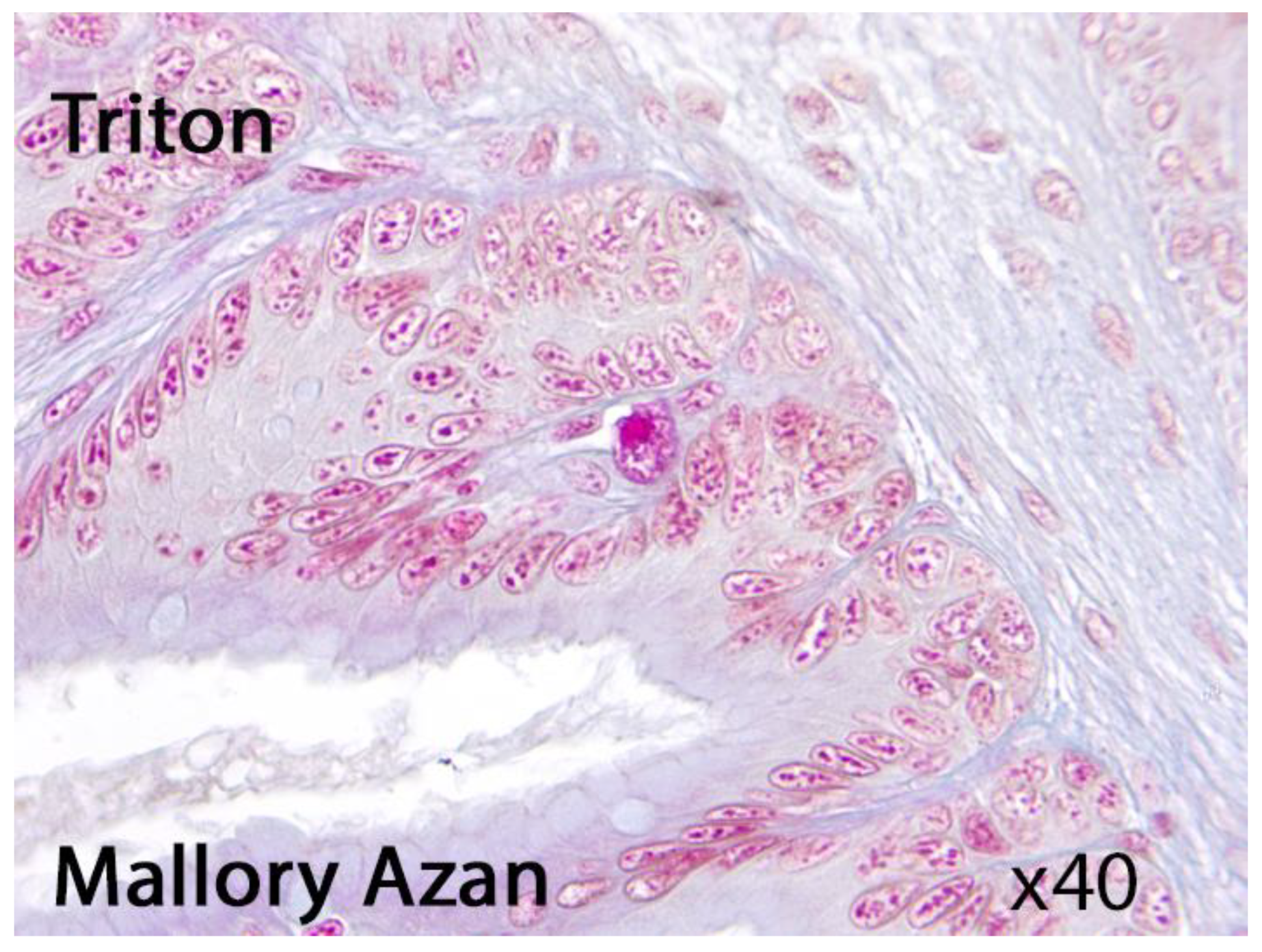 Preprints 151113 g001