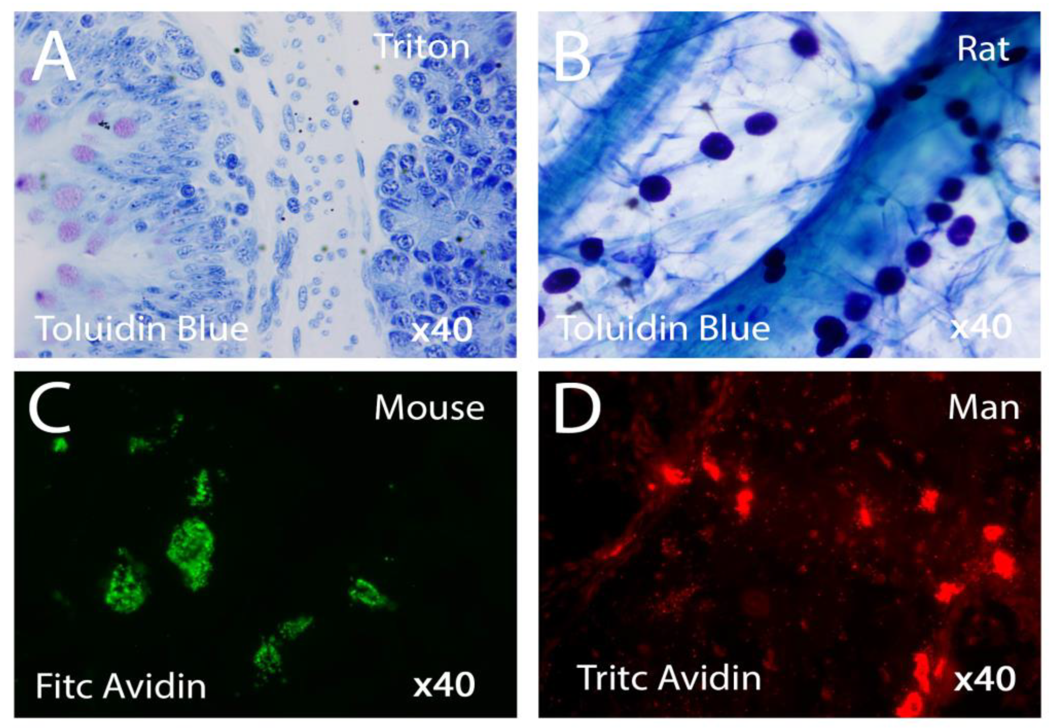 Preprints 151113 g002
