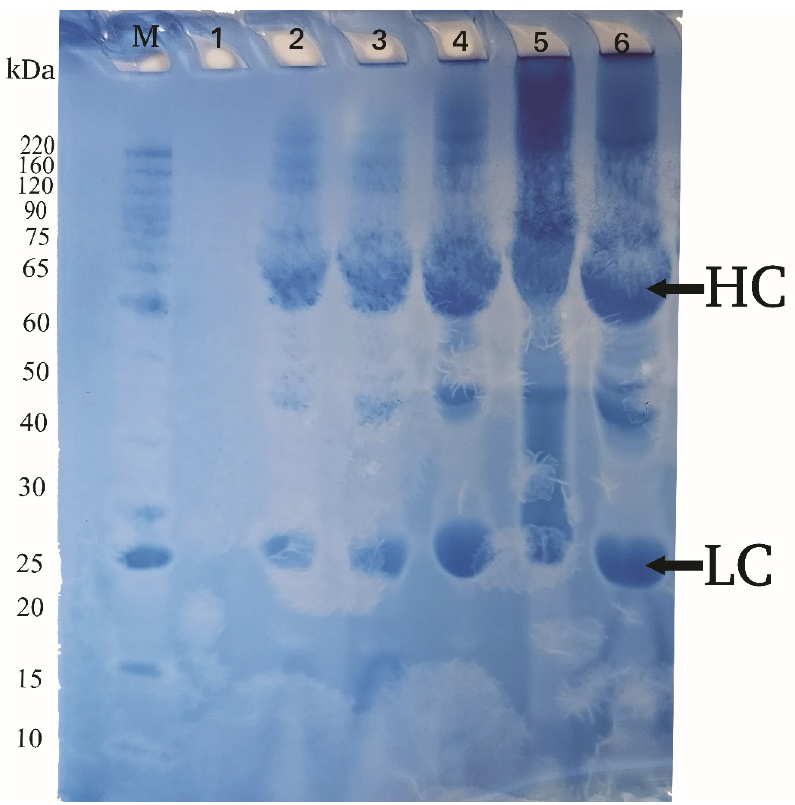 Preprints 199776 g002