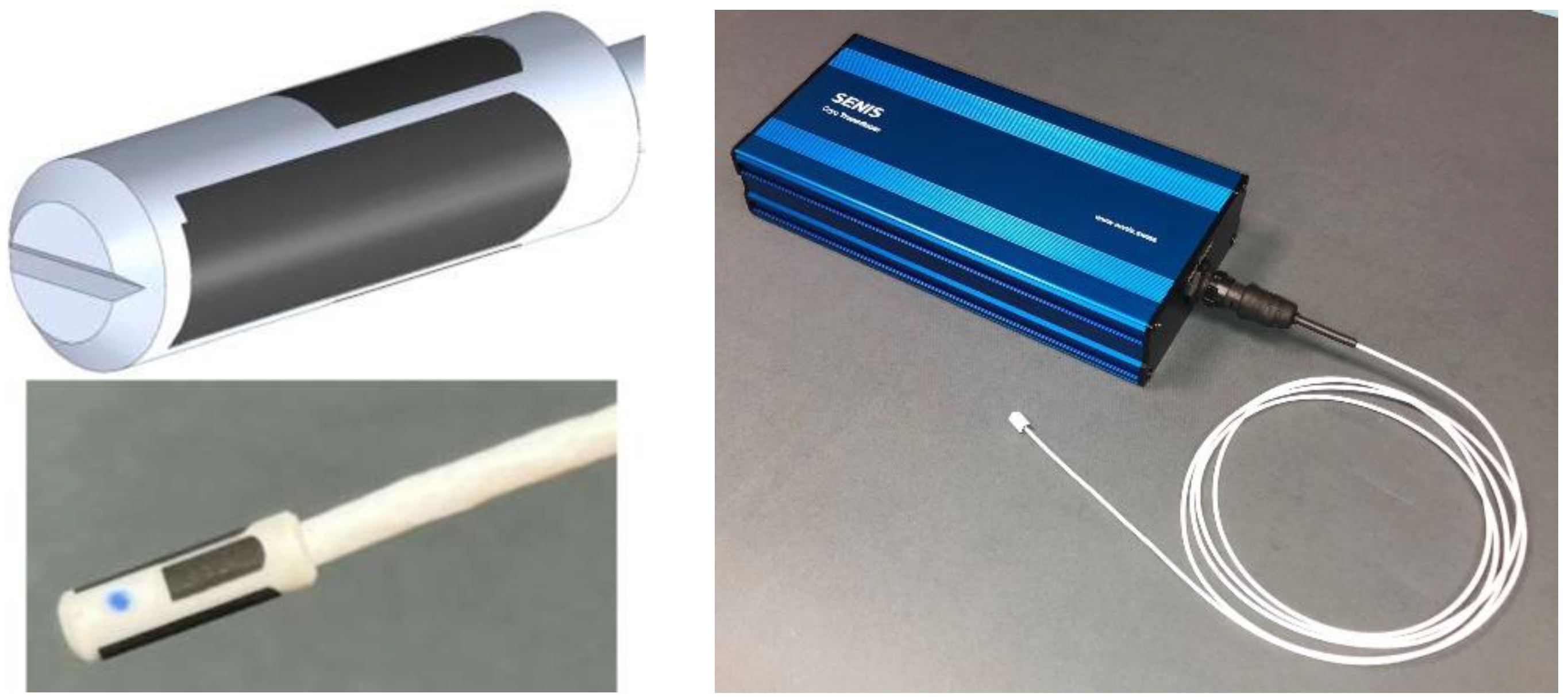 Preprints 141975 g005