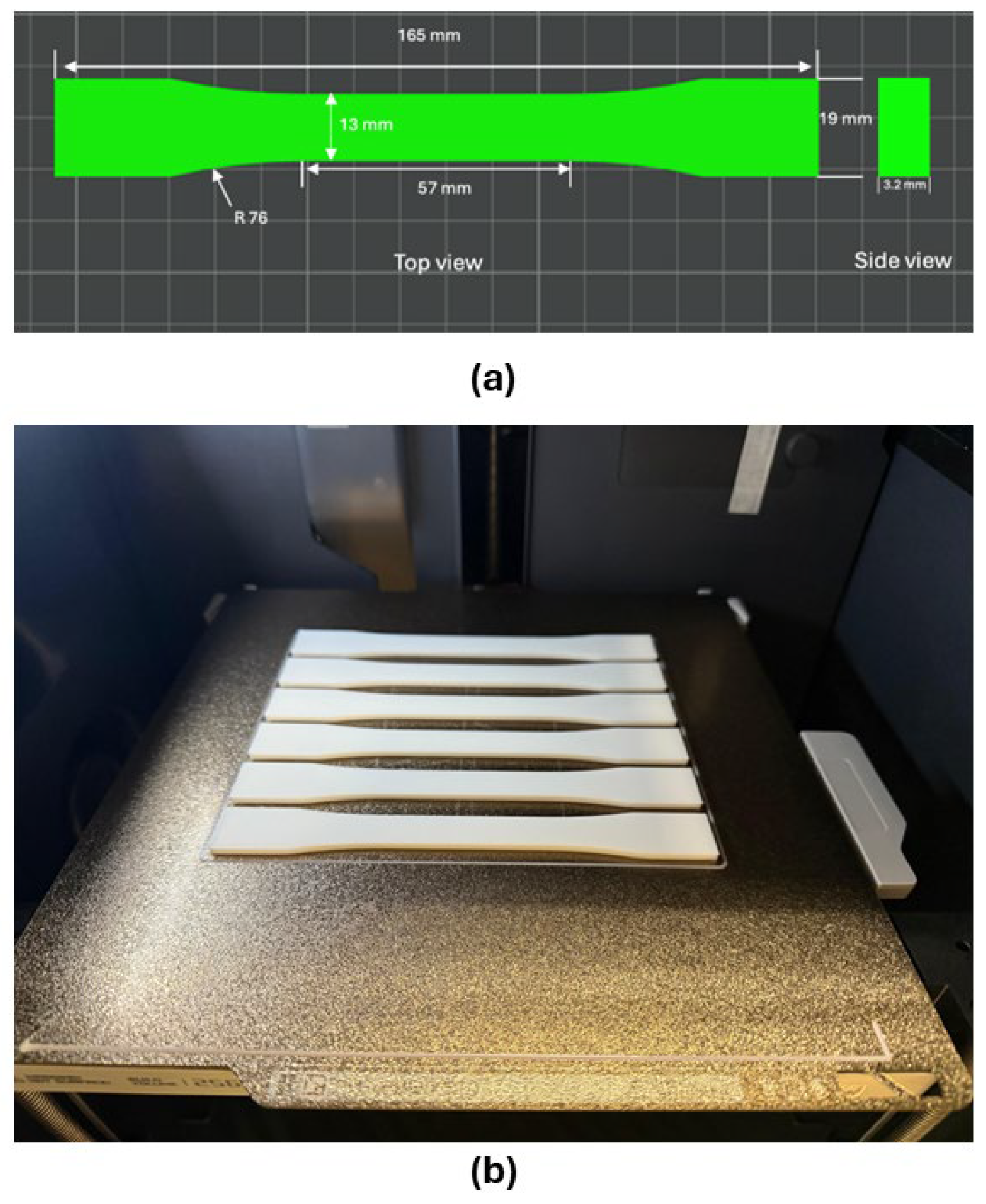 Preprints 189244 g001