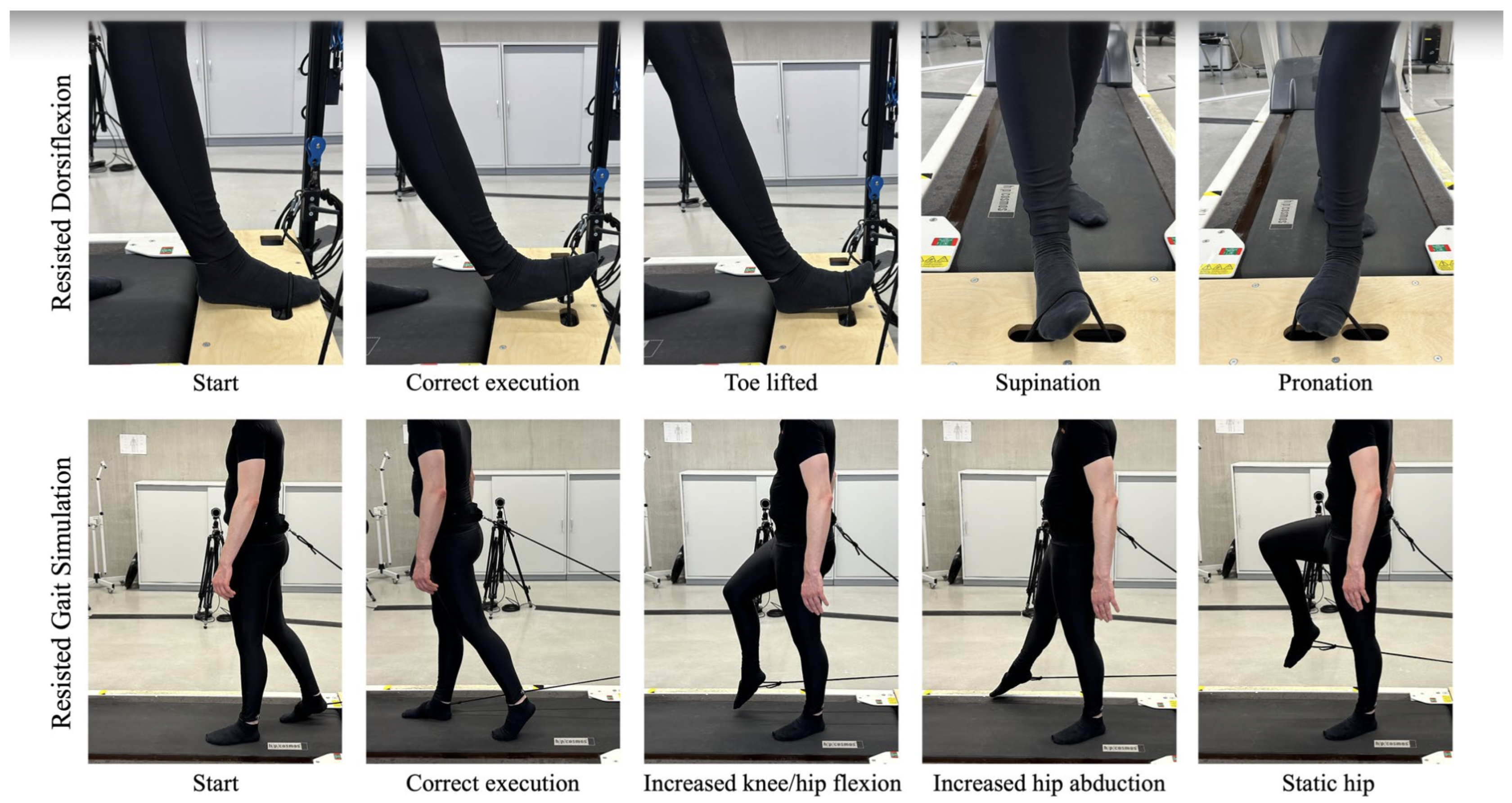 Preprints 209338 g001