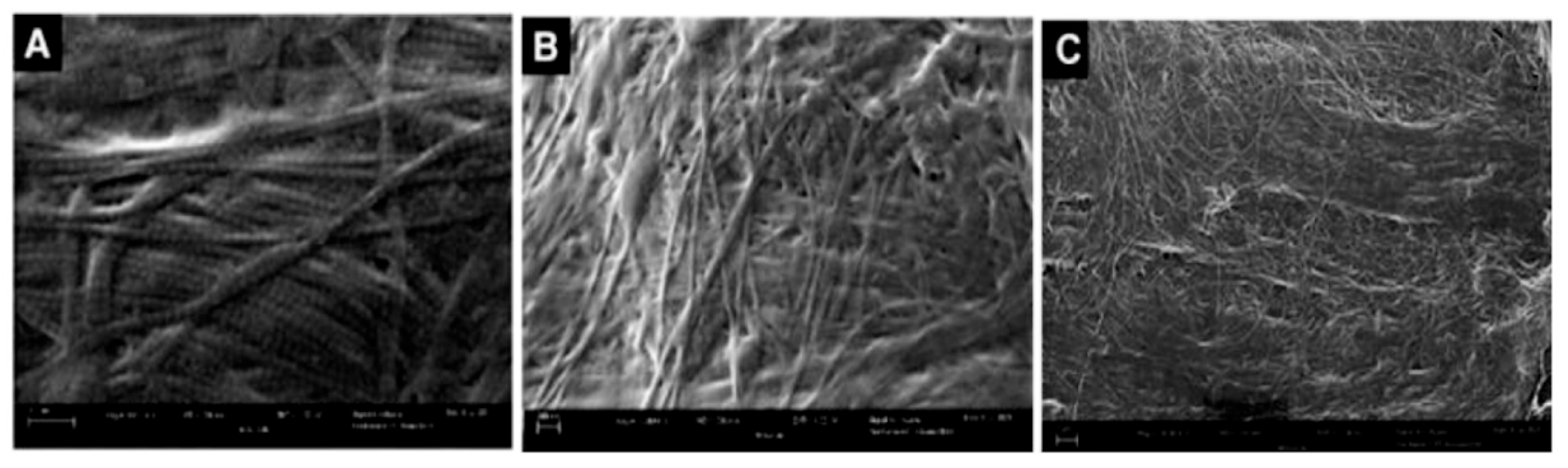 Preprints 165947 g003