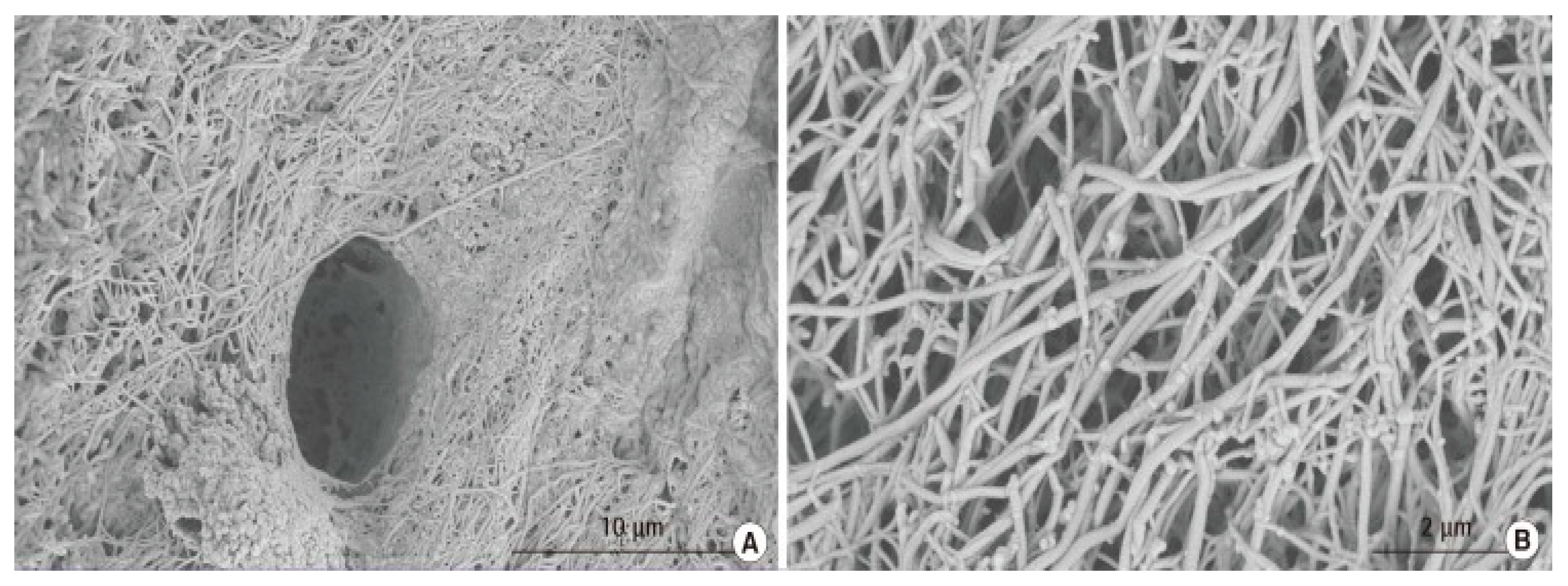 Preprints 165947 g004