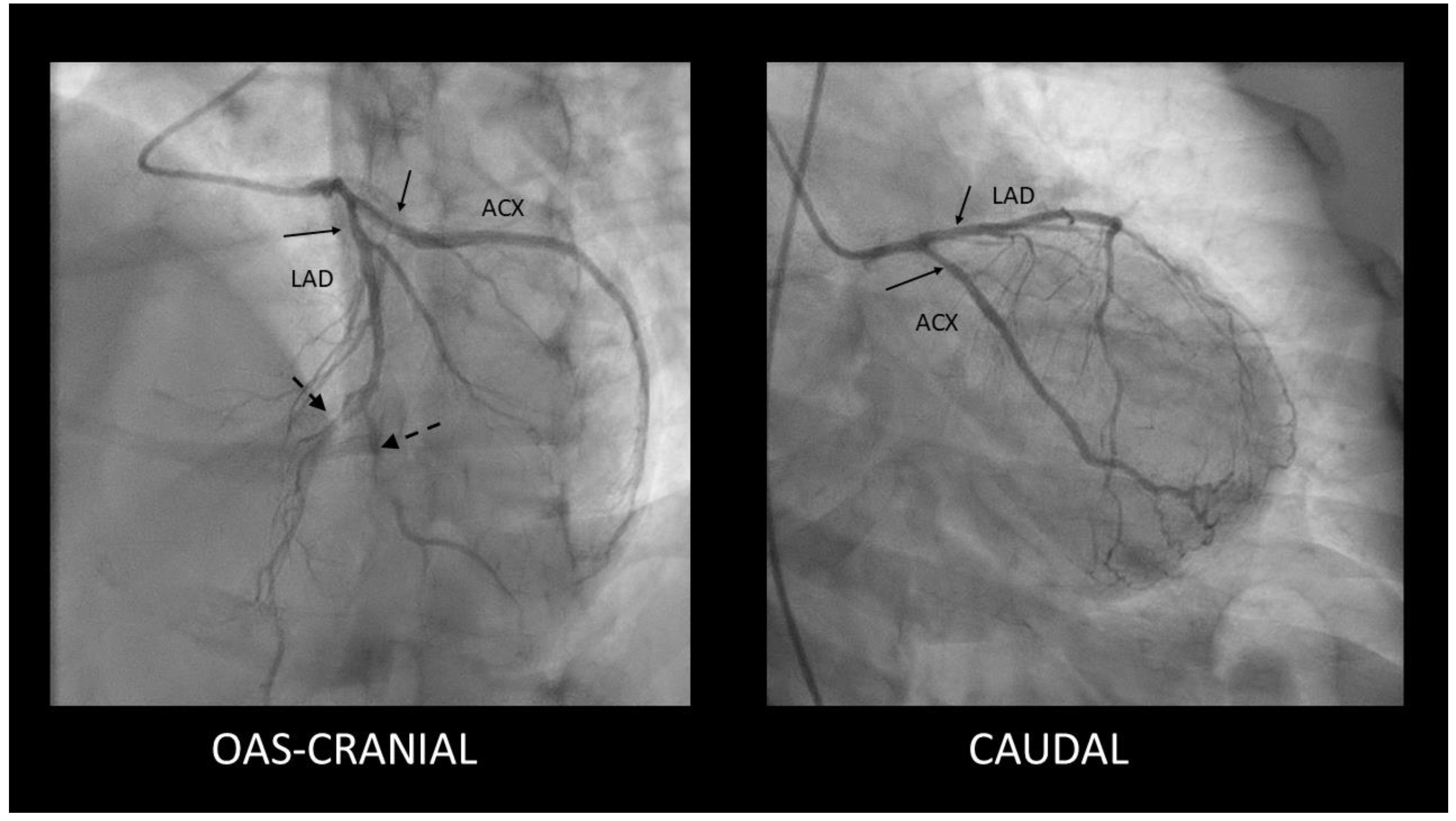 Preprints 162182 g002
