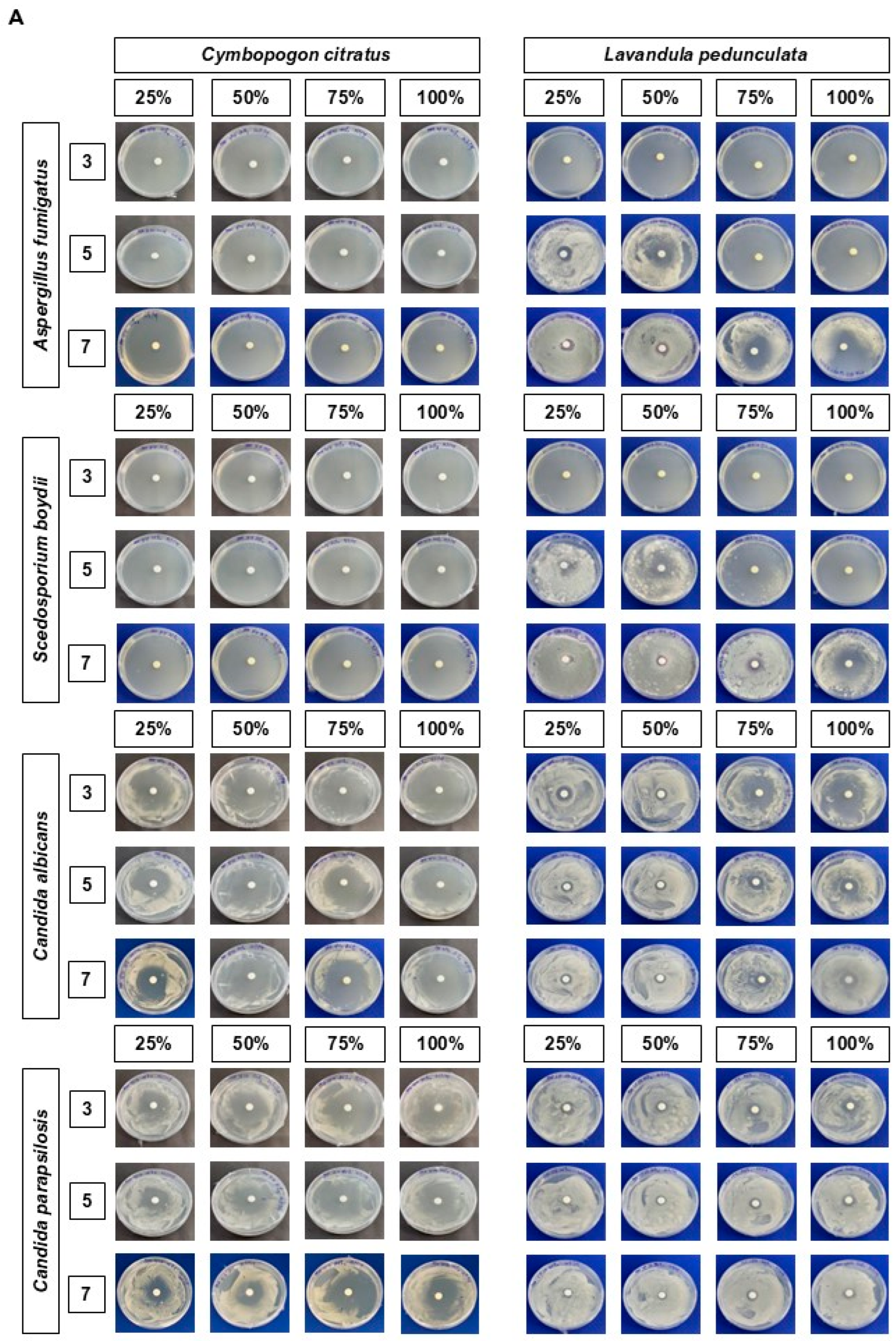 Preprints 179296 g001a