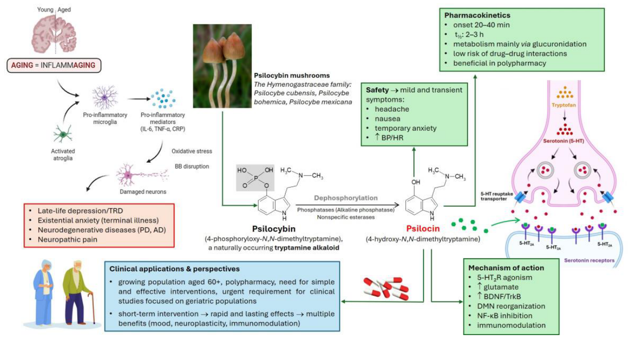 Preprints 208556 g001