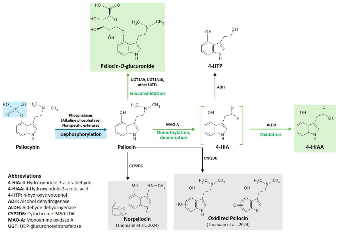 Preprints 208556 g002