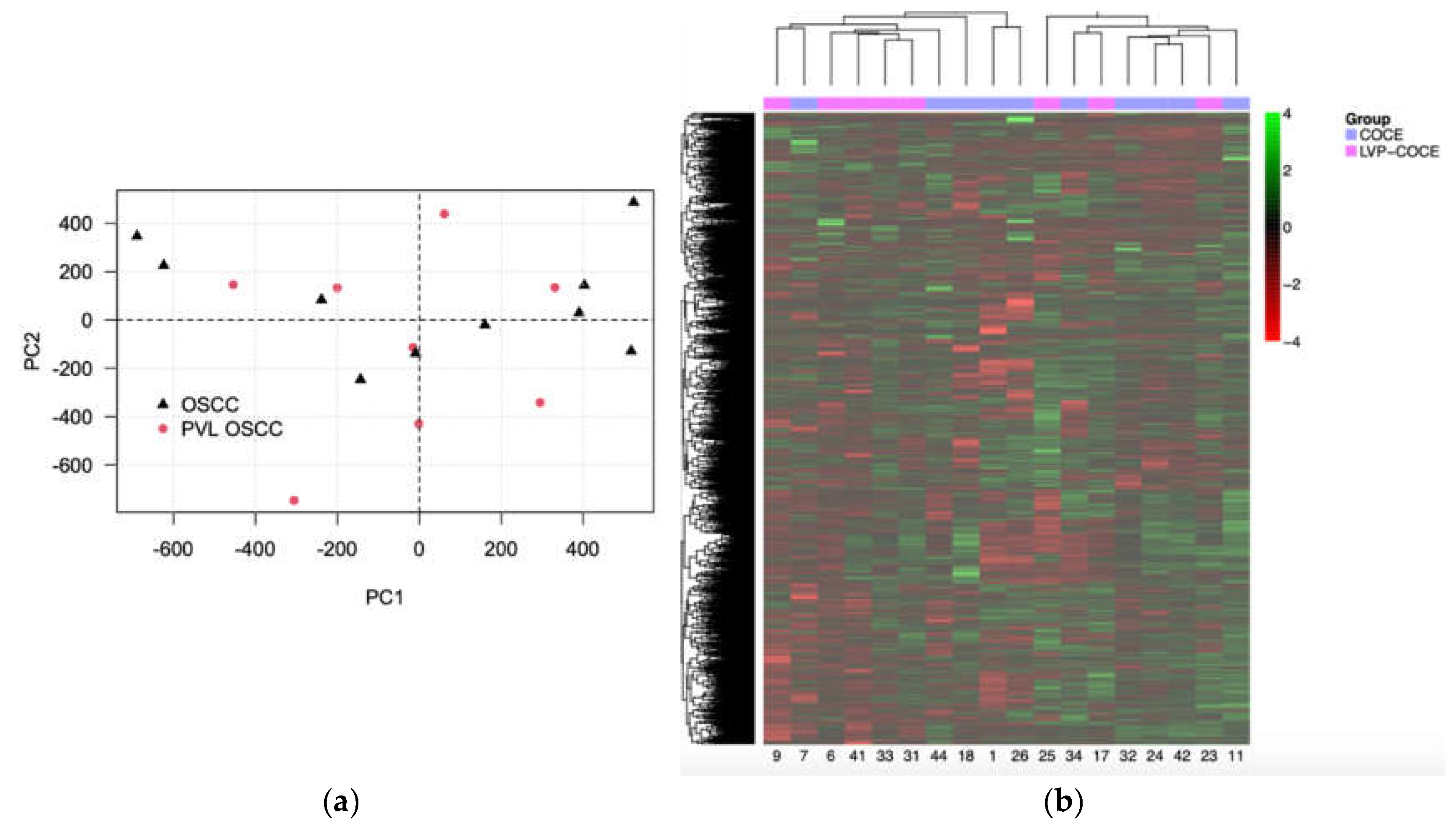 Preprints 142598 g001