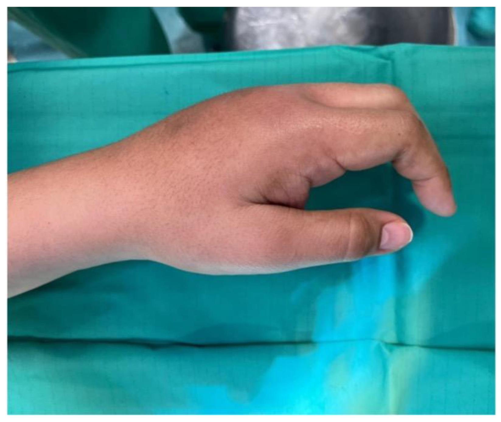 Preprints 174399 g001