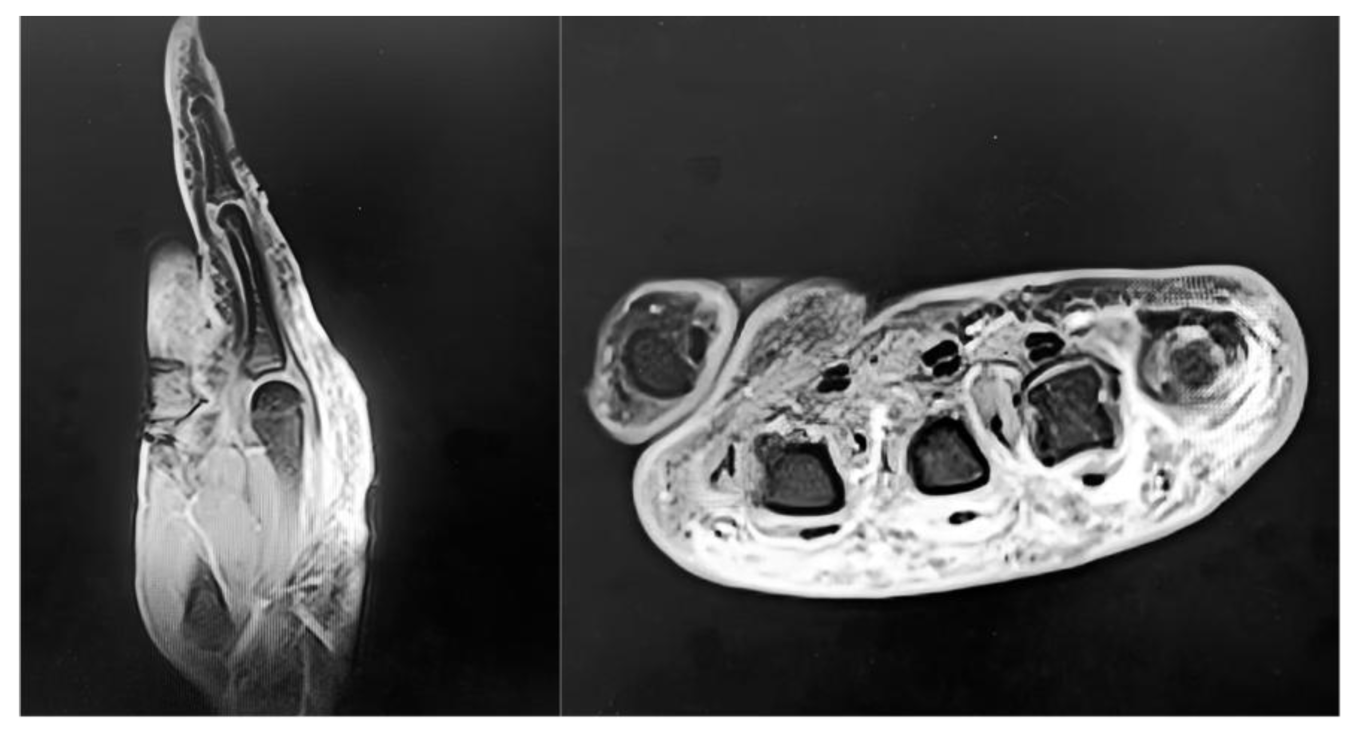 Preprints 174399 g002