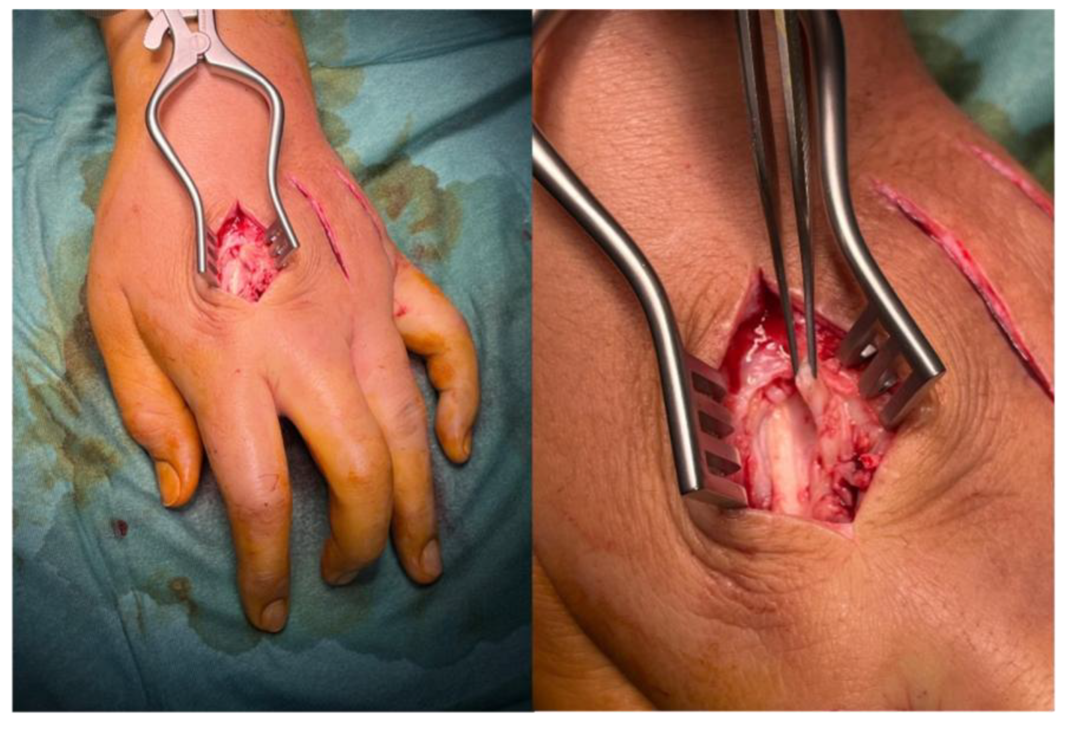 Preprints 174399 g003